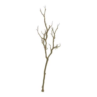 Bare Birch Branch By Ashland® 