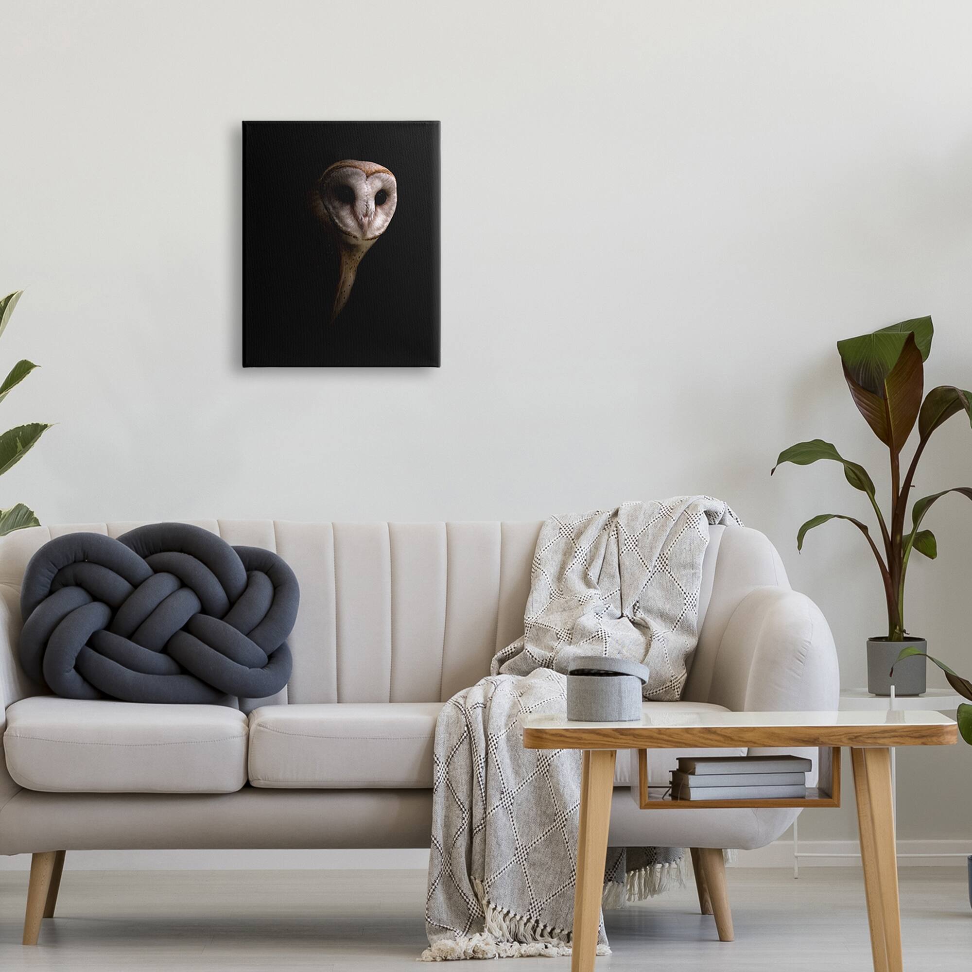 Stupell Industries Intense Barn Owl Black Shadow Photography Canvas Wall Art