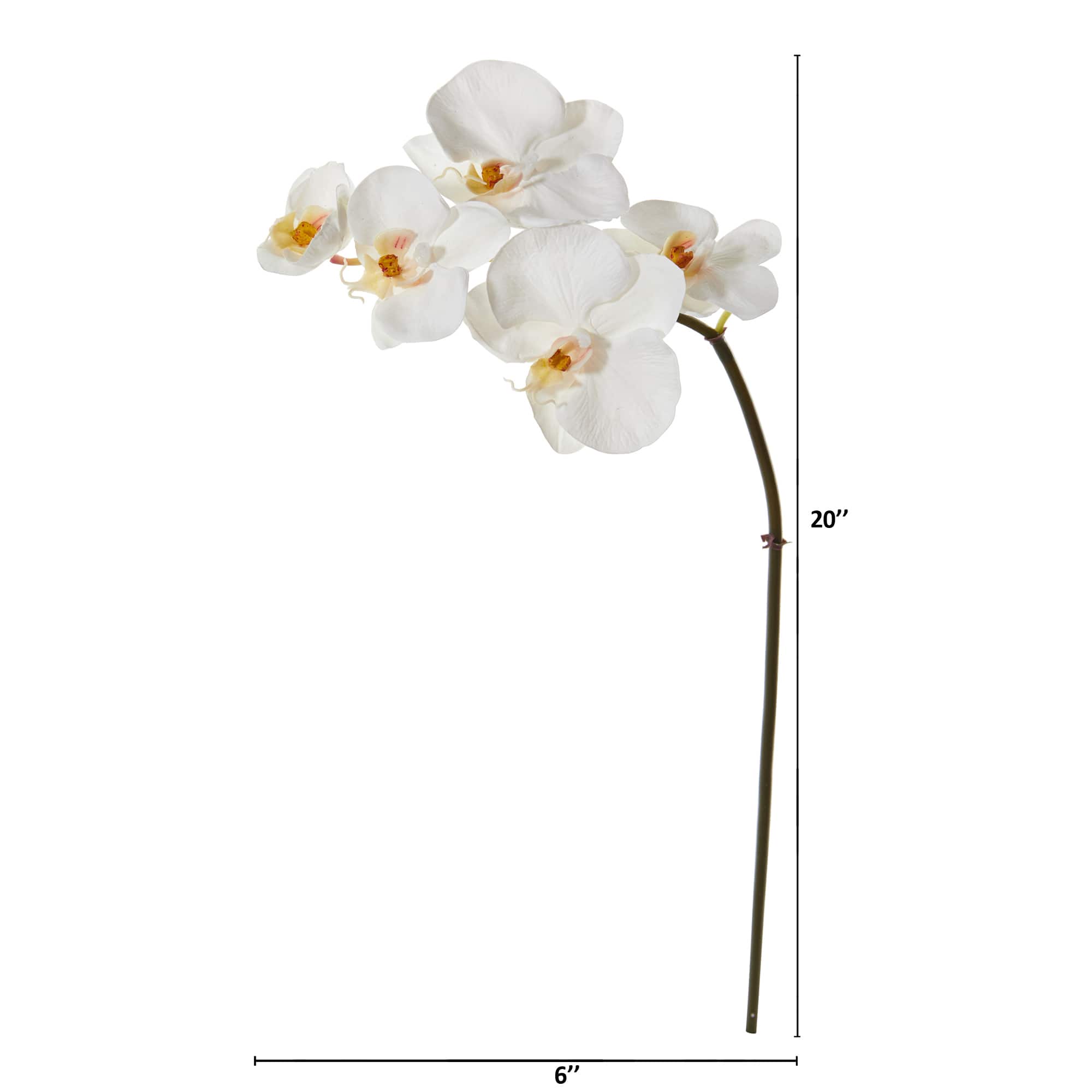 20&#x22; Phalaenopsis Orchid Artificial Flower (Set of 12)