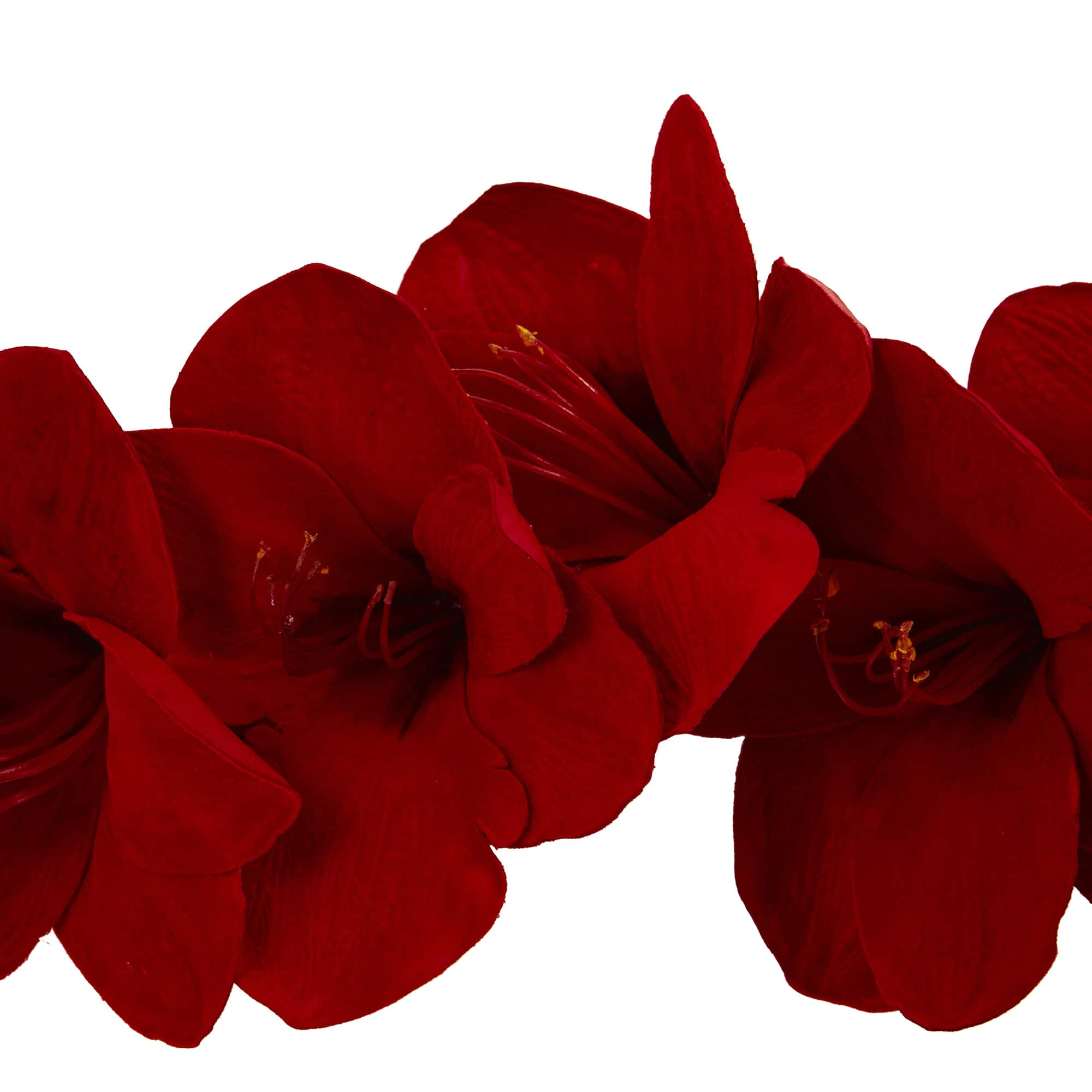 5ft. Red Amaryllis Garland