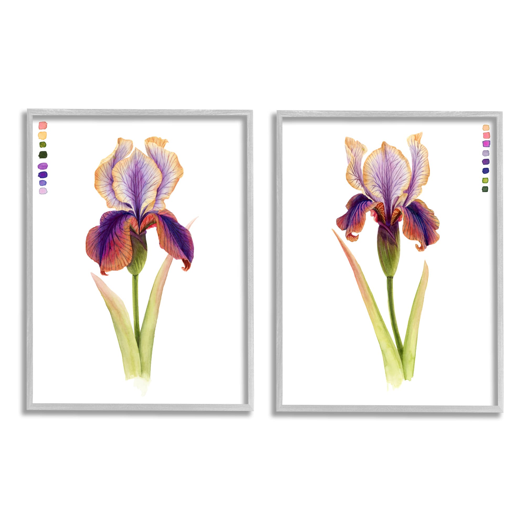 Stupell Industries Orange &#x26; Purple Iris Flower with Color Key Gray Framed Wall Art Set