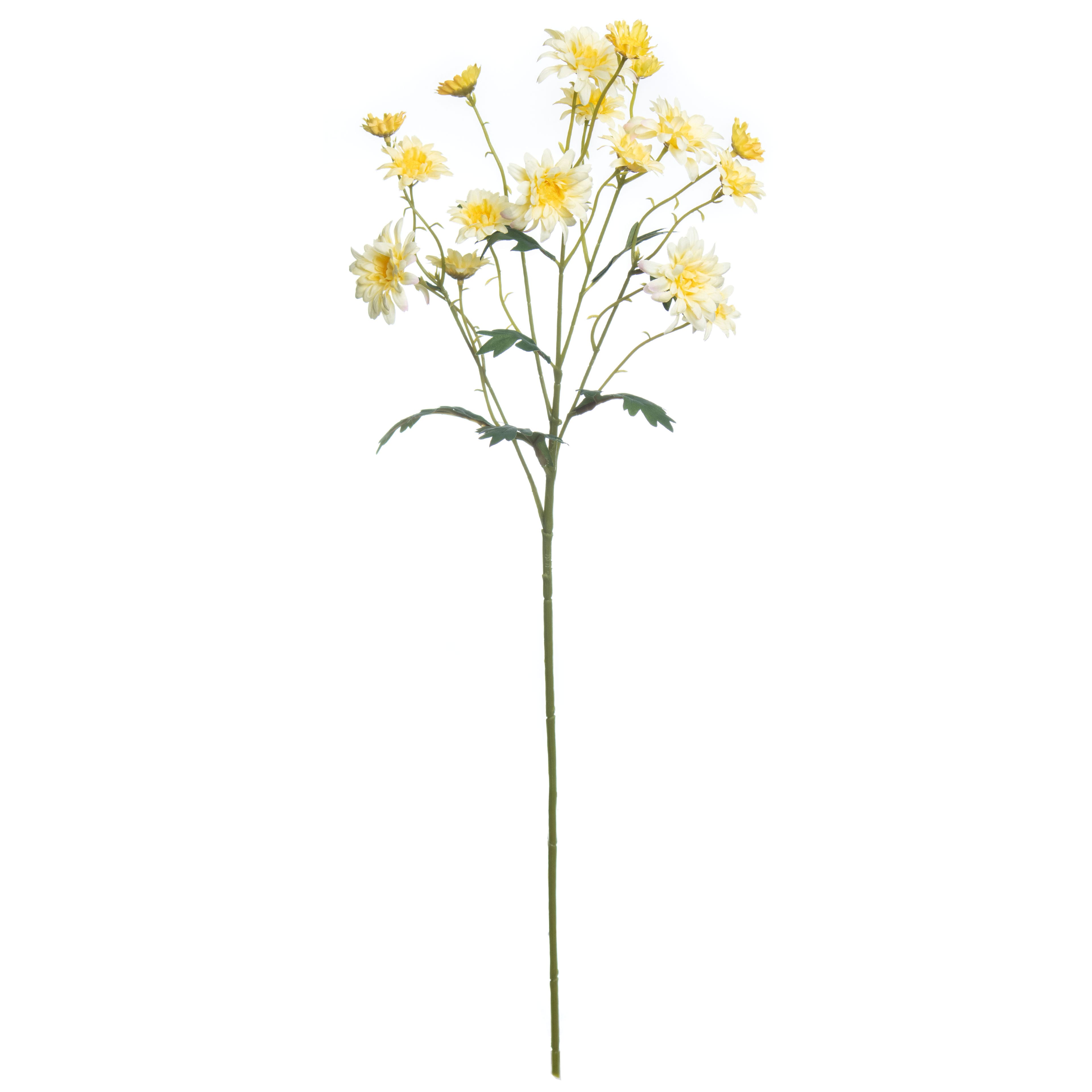 28.5" Wild Daisy Stem by Ashland®