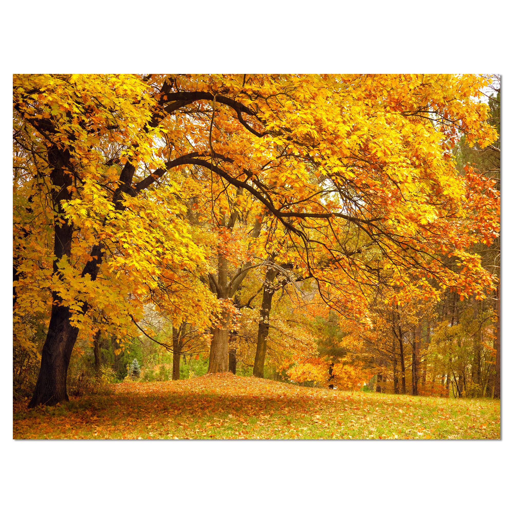 Designart - Golden Autumn Forest - Landscape Photography Canvas Print