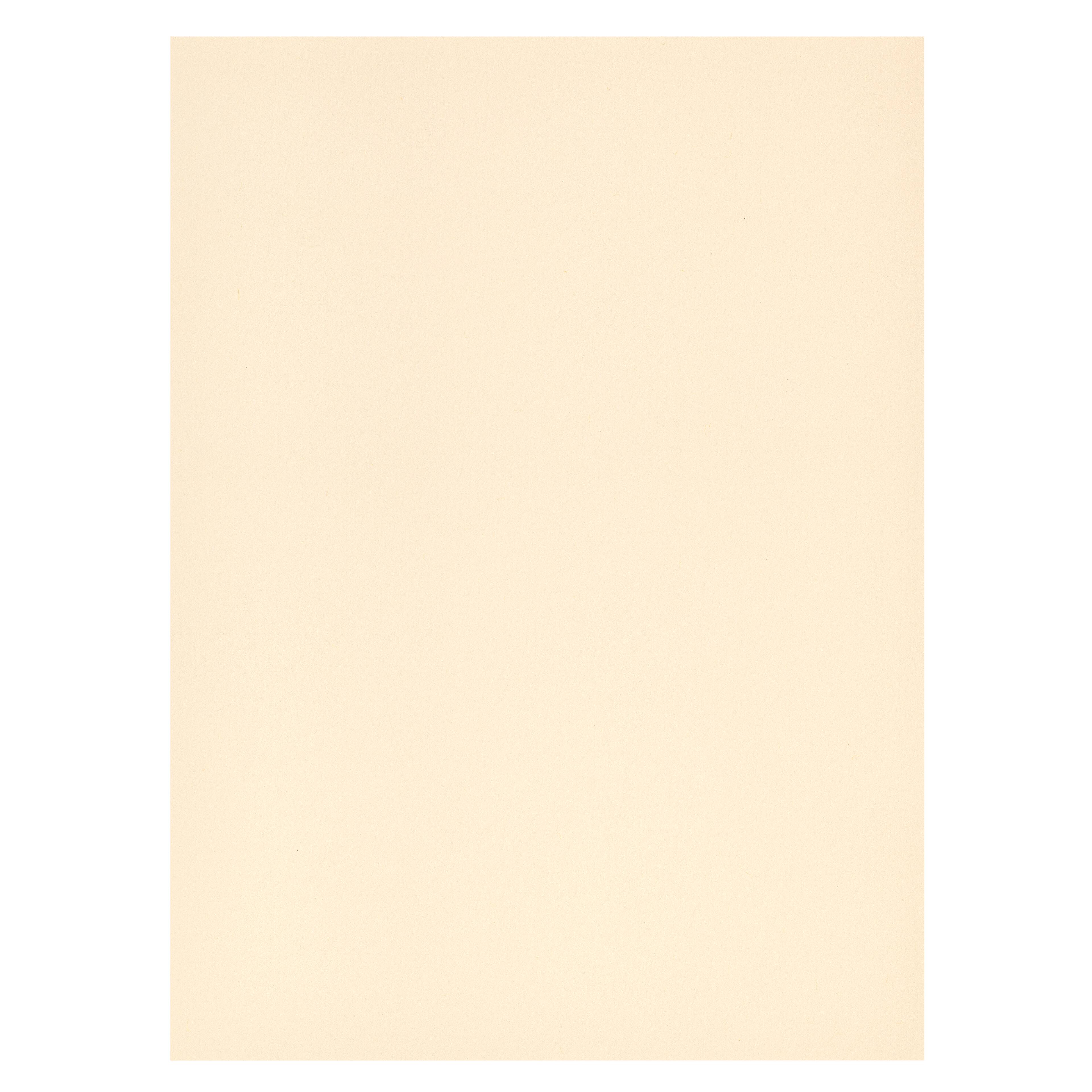 12 Packs: 100 ct. (1200 total) Cardstock Paper by Recollections