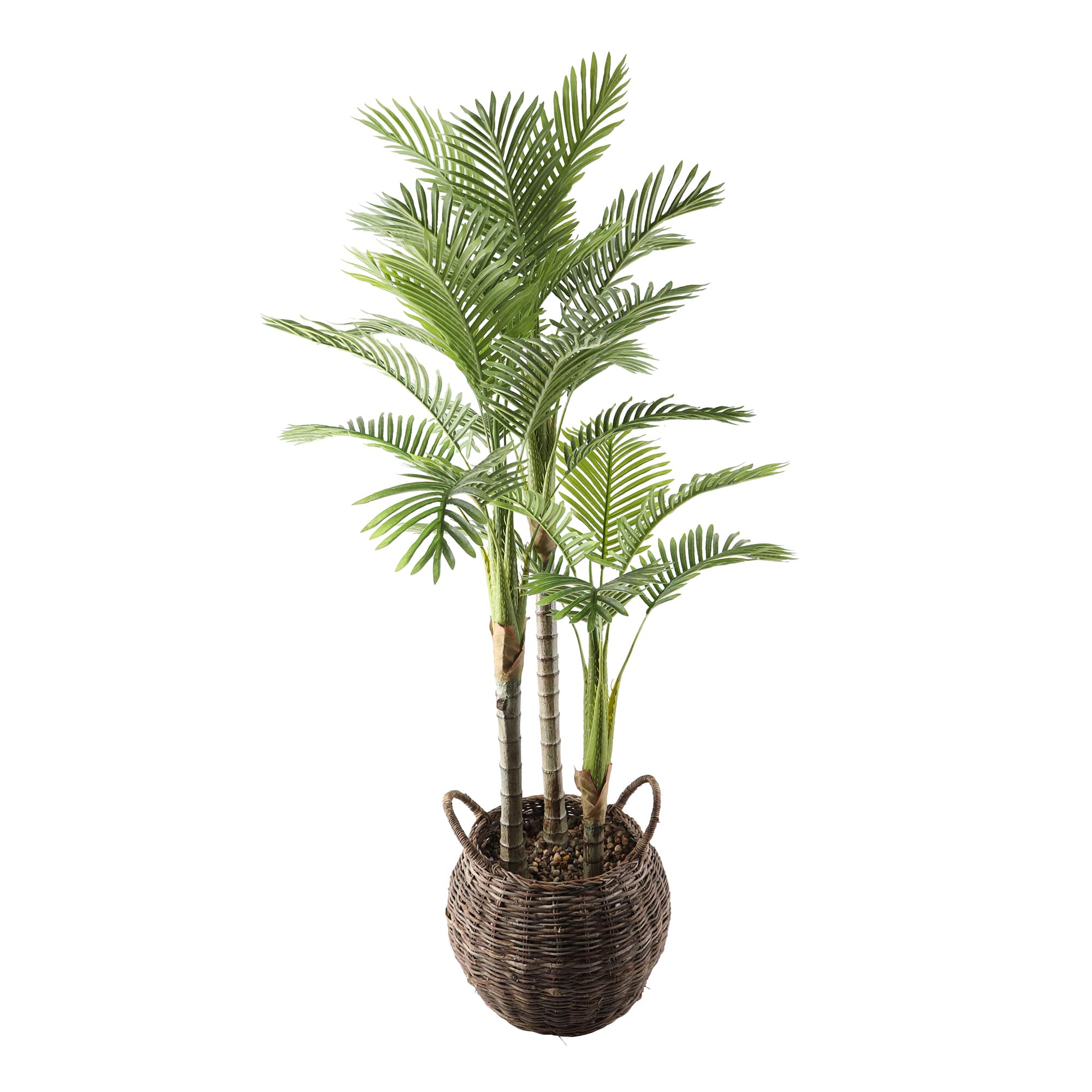 Flora Bunda® 6ft. Palm in Brown Basket Planter