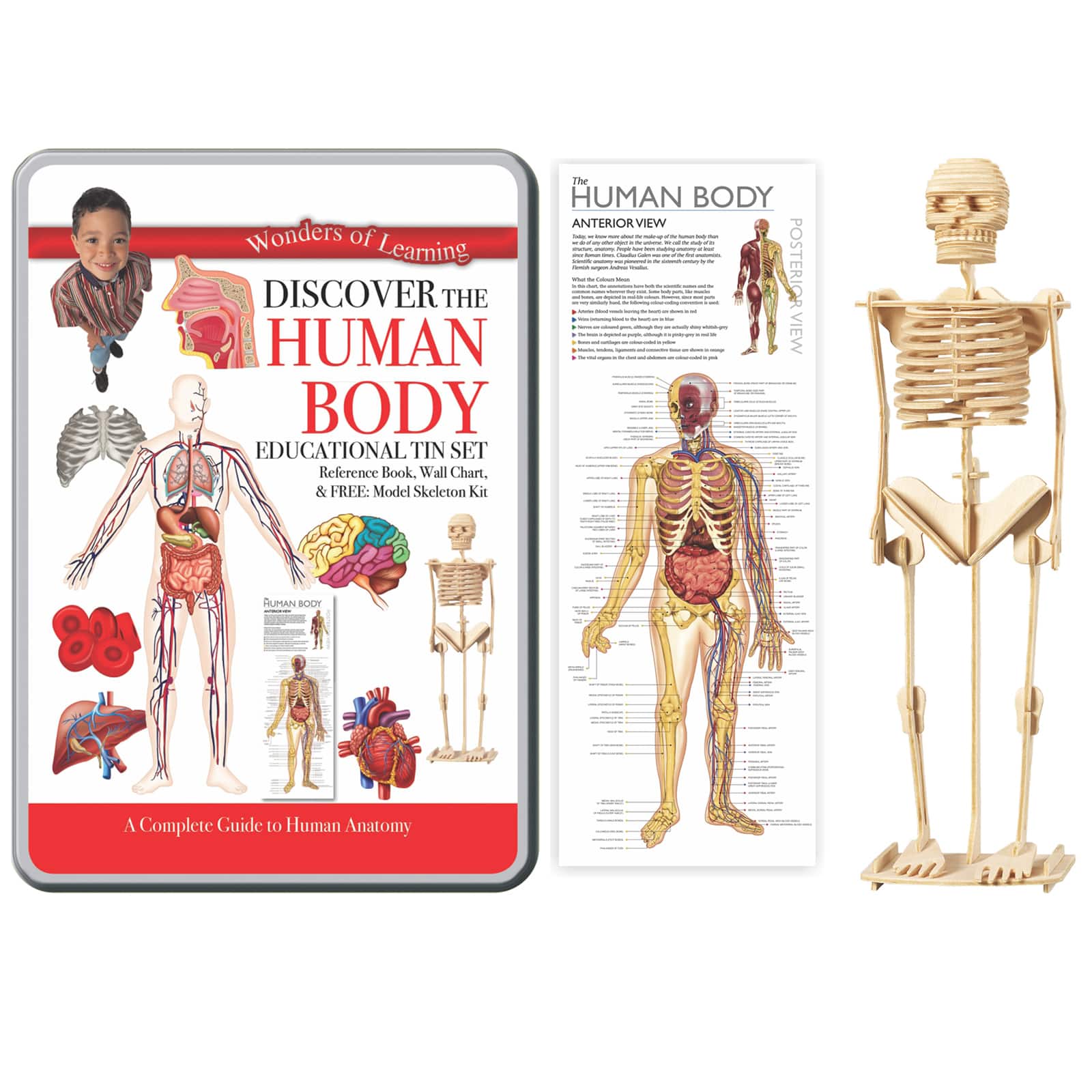 Wonders of Learning Discover the Human Body Educational Tin Set