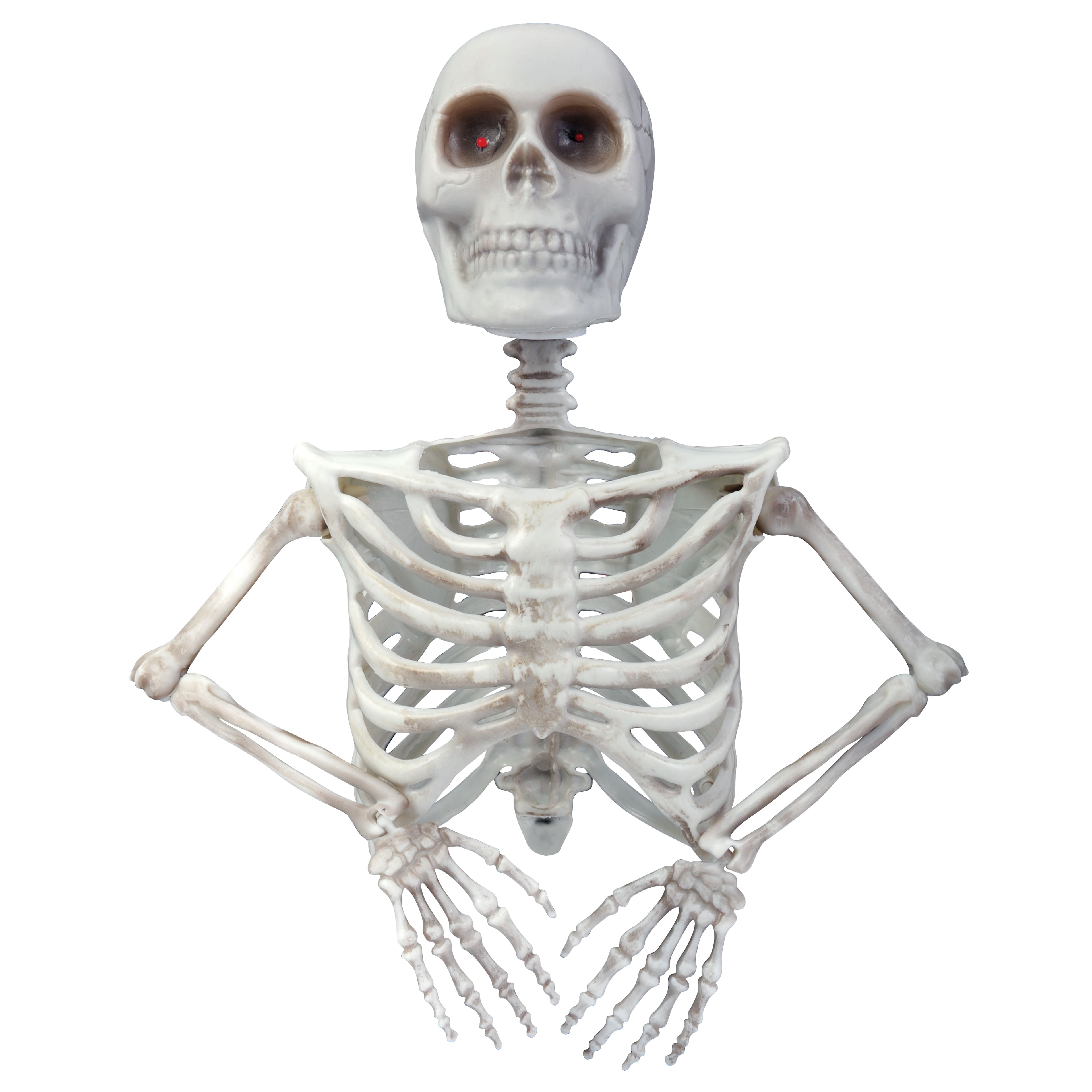 12&#x22; Skeleton Grave Breaker&#x2122; by Ashland&#xAE;