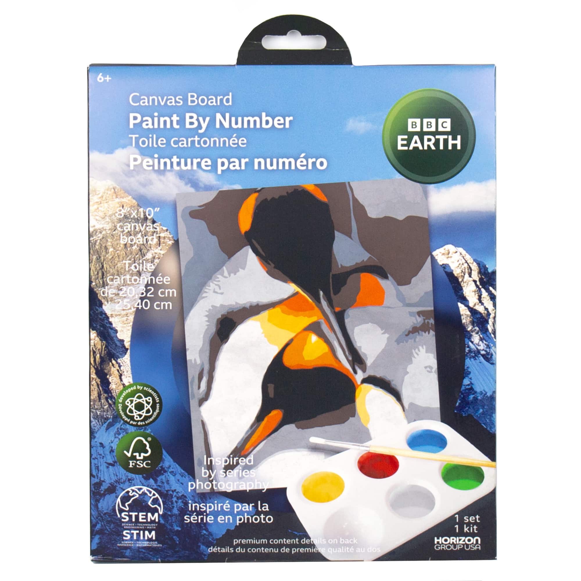 BBC Earth Canvas Board Penguin Paint by Number