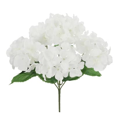 Cream Hydrangea Bush by Ashland® | Michaels