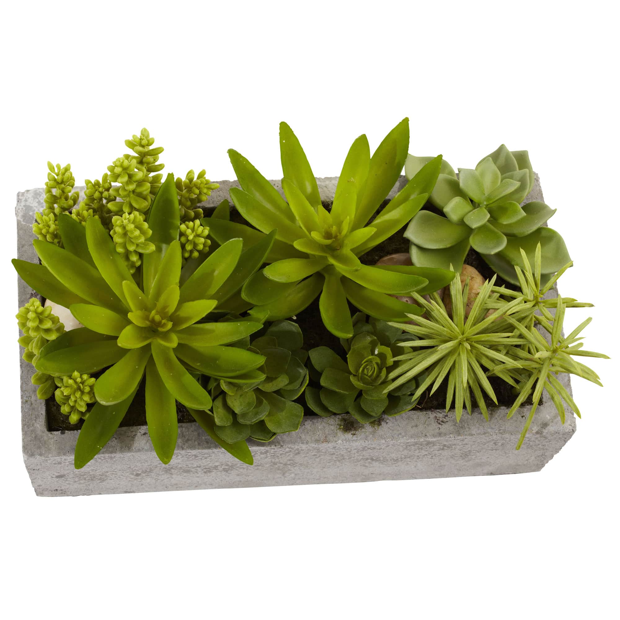 13&#x22; Succulent Garden with Concrete Planter 
