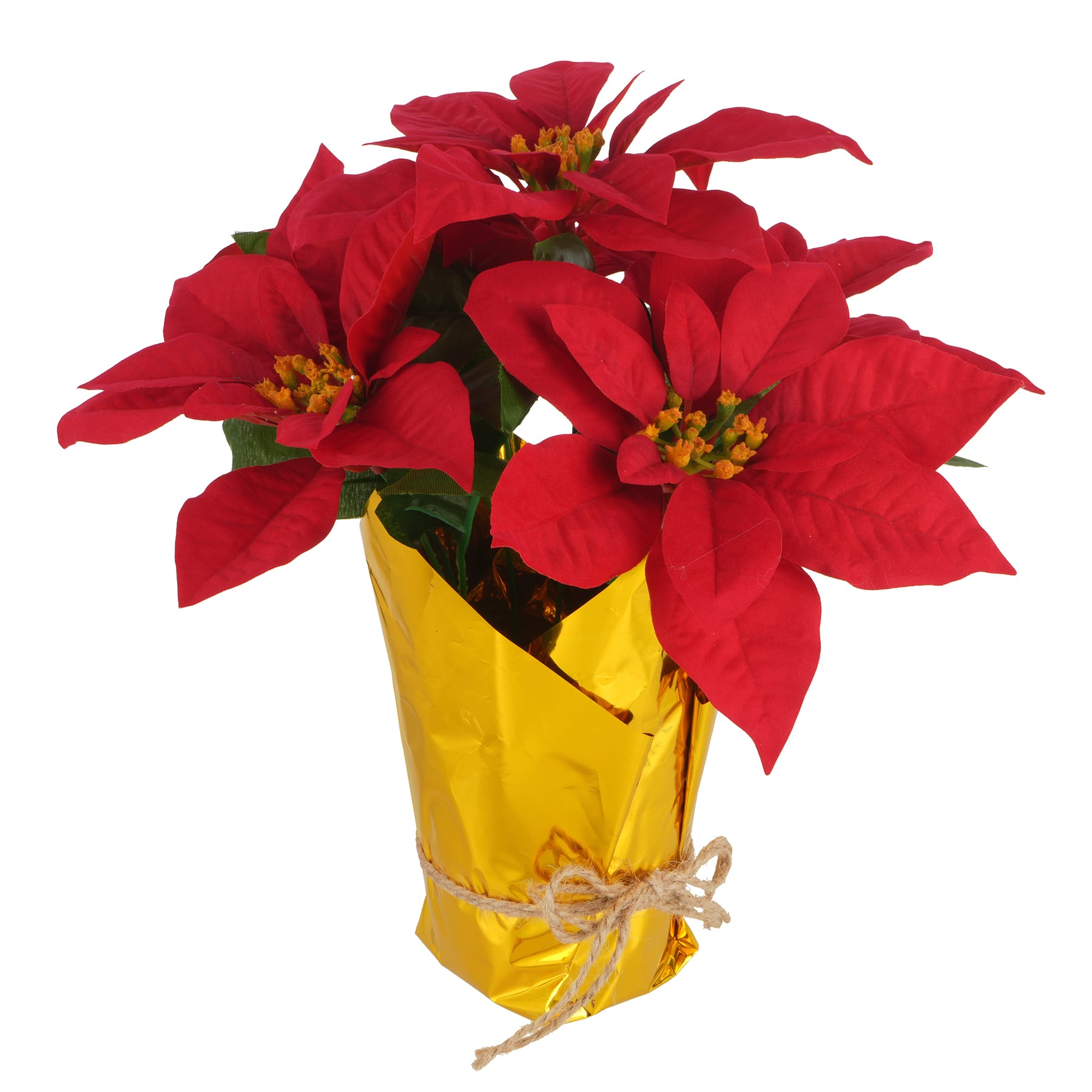 15&#x22; Red Poinsettia Arrangement in Gold Wrapped Pot by Ashland&#xAE;