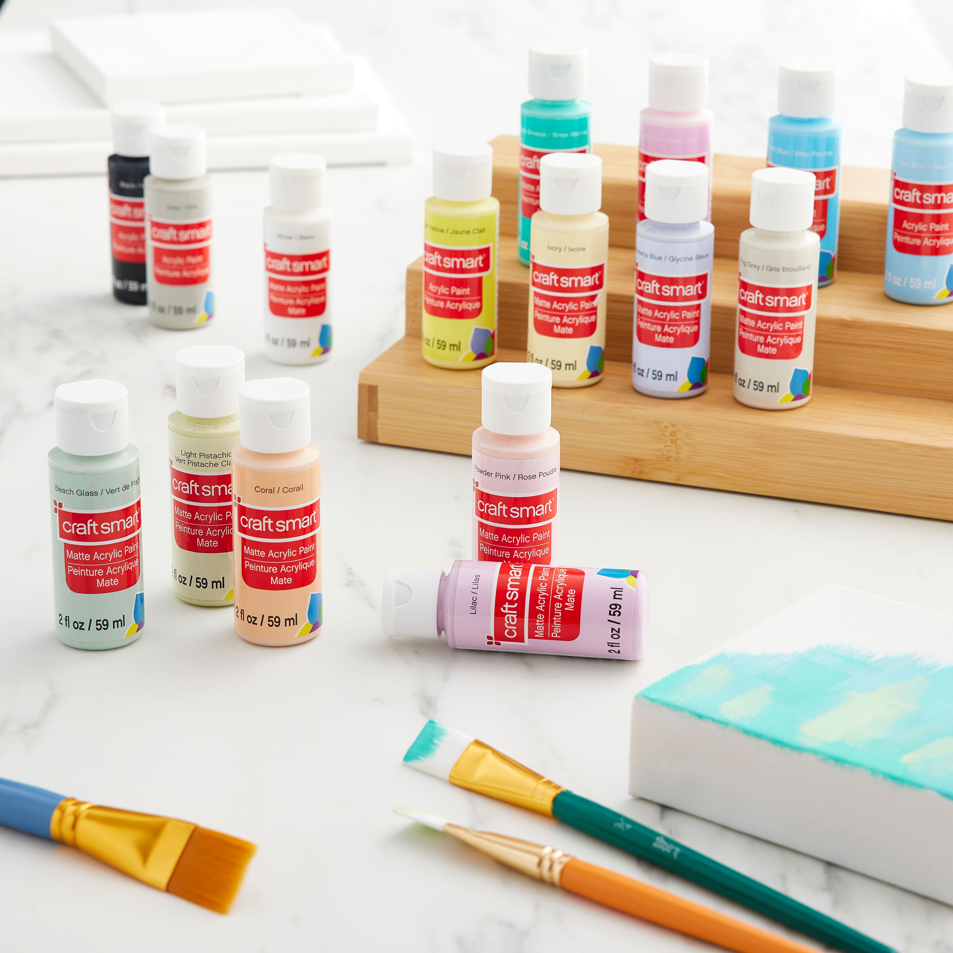 16 Colour Satin Acrylic Paint Value Pack by Craft Smart®