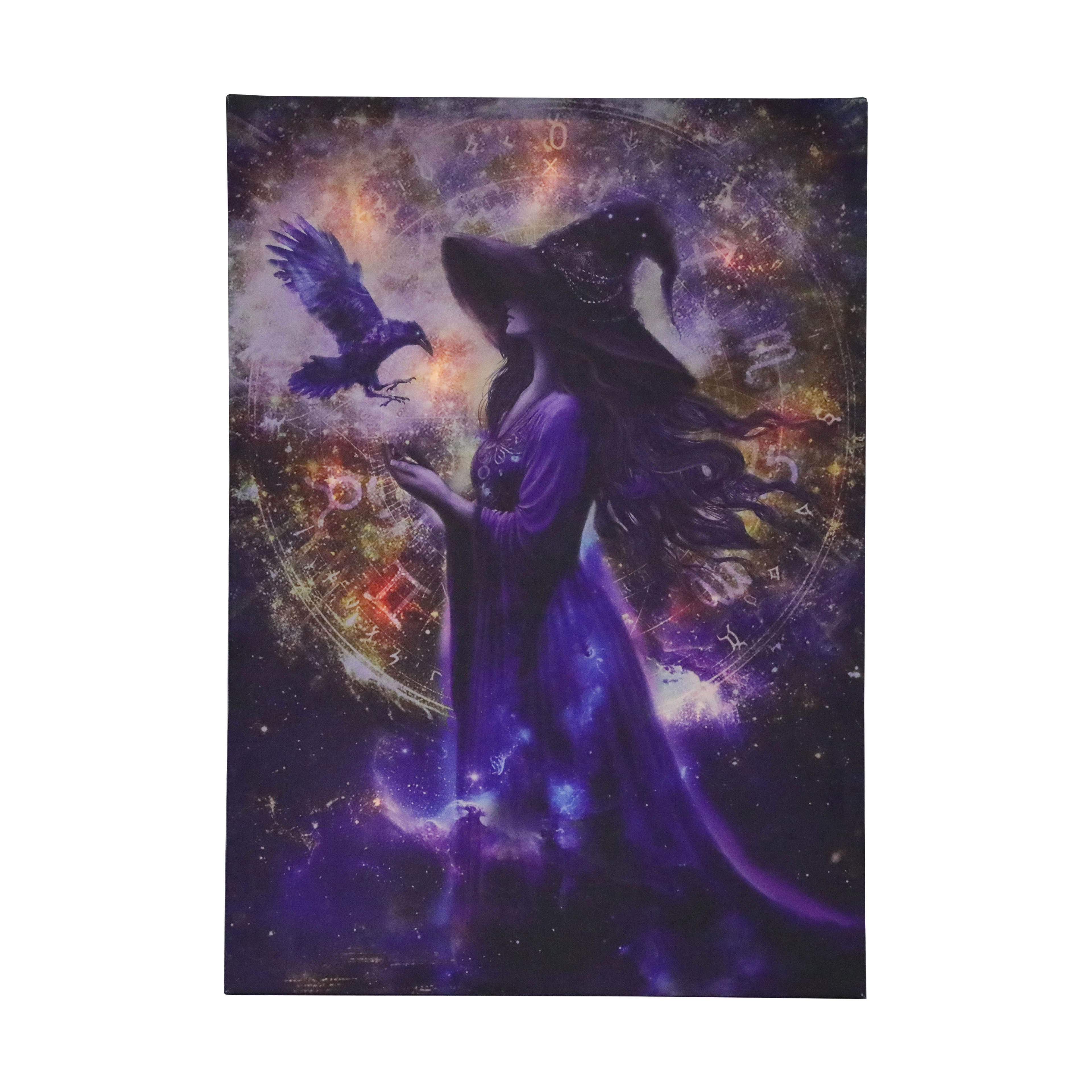 17&#x22; x 23.5&#x22; Witch LED Wall D&#xE9;cor by Ashland&#xAE;
