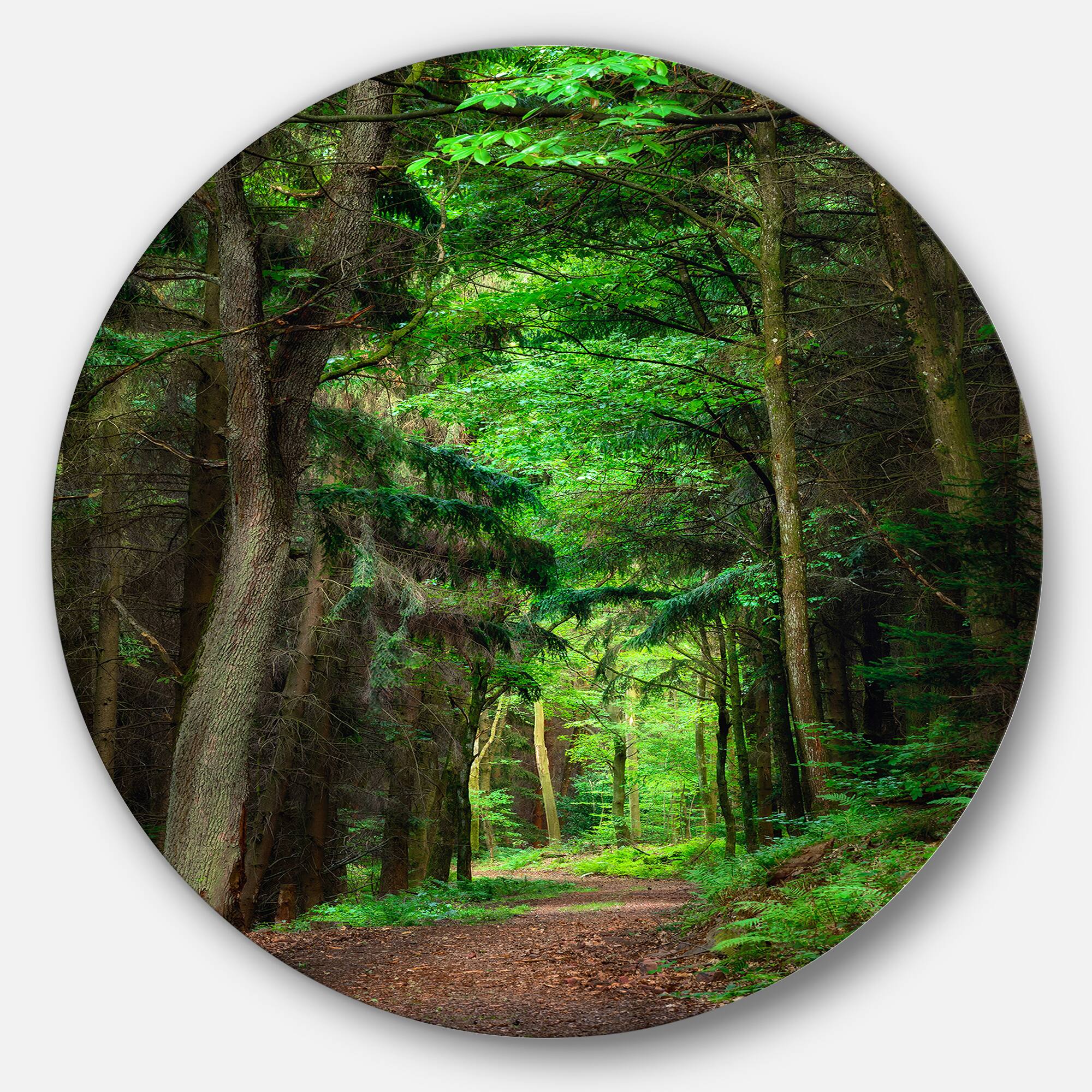 Designart - Dreamy Greenery in Dense Forest&#x27; Forest Metal Circle Wall Art