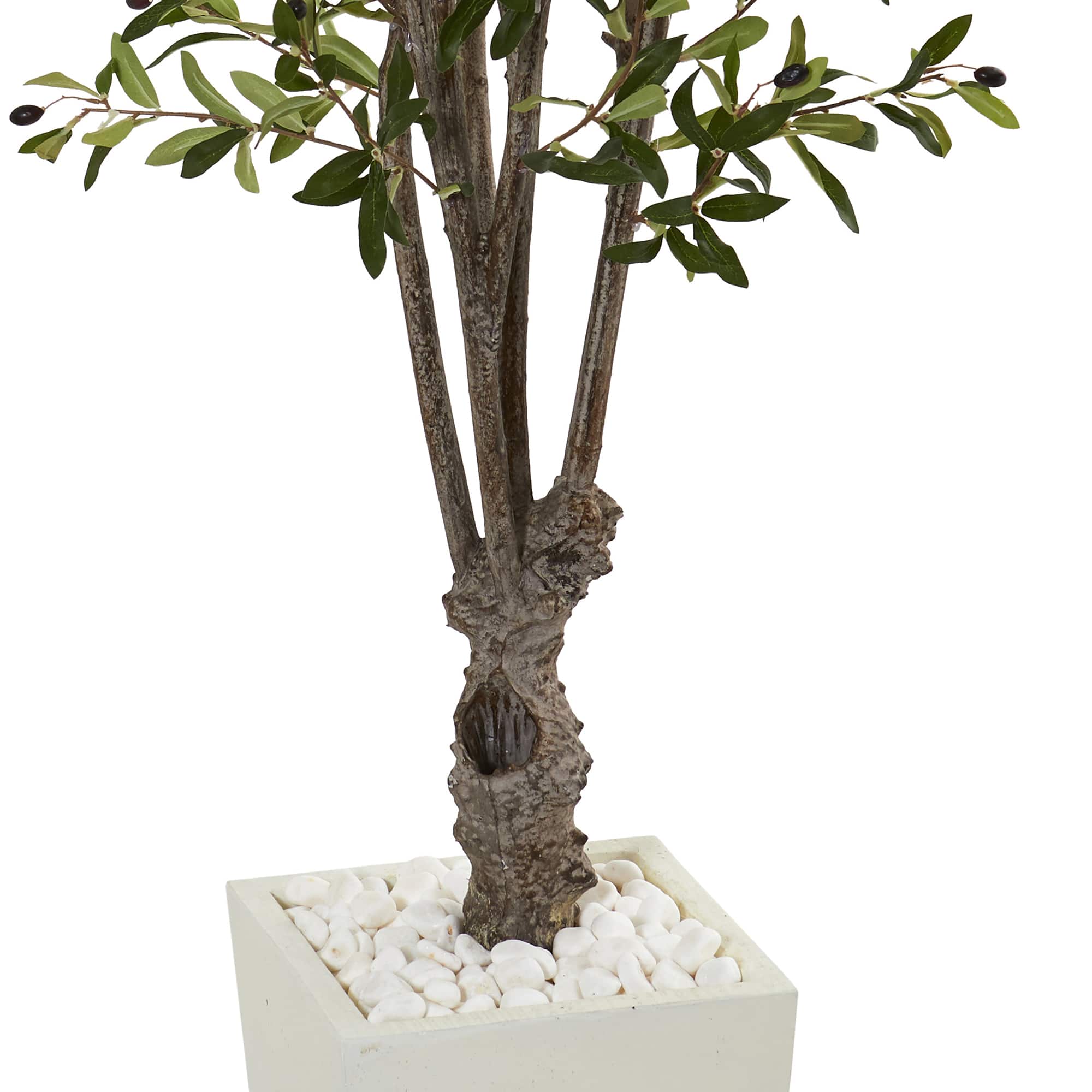 6ft. Olive Tree In White Tower Planter