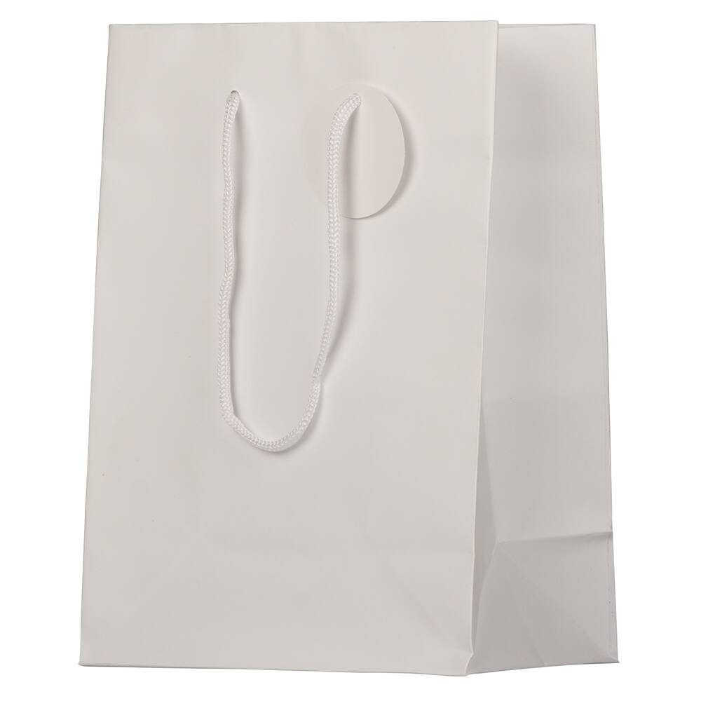 JAM Paper Medium Gift Bags with Rope Handles, 3ct.