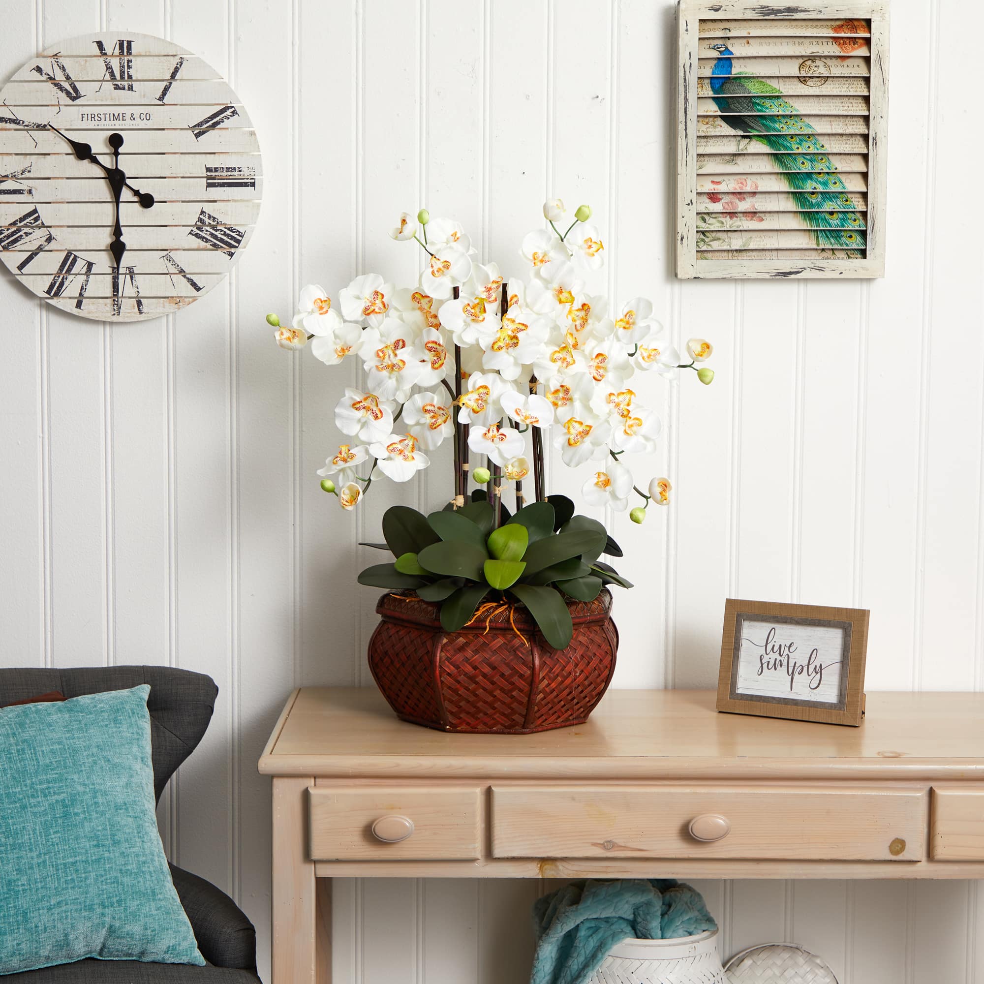 2.5ft. Potted Large Moth Orchid Arrangement, Cream