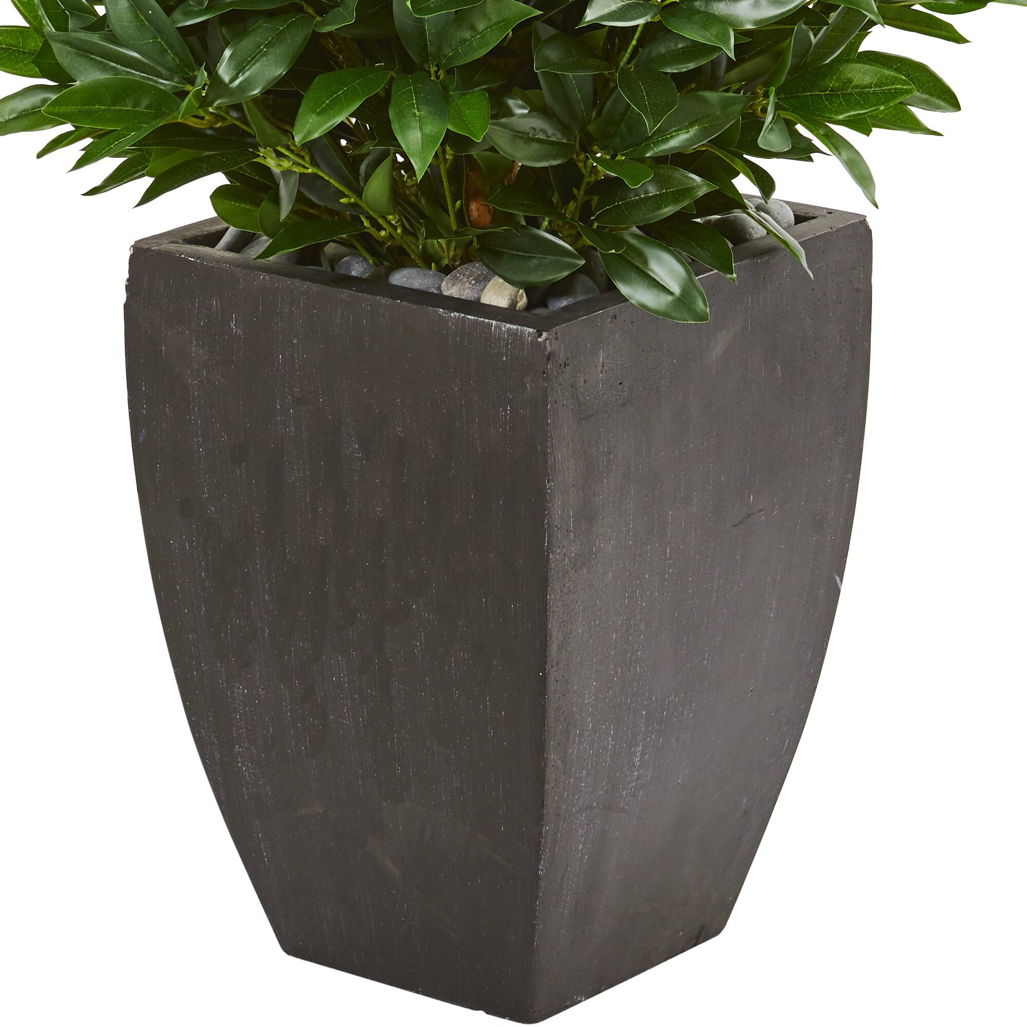 4.6ft. UV Resistant Bay Leaf Cone Topiary Artificial Tree in Black Planter