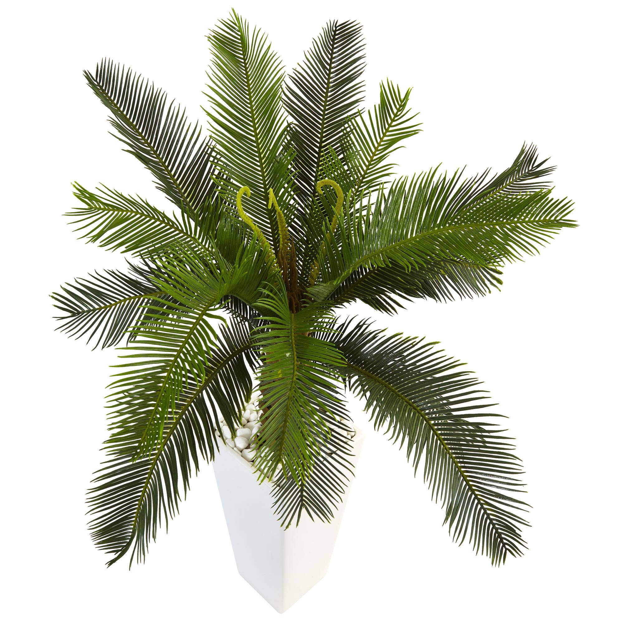 3ft. Sago Palm Tree in White Tower Planter
