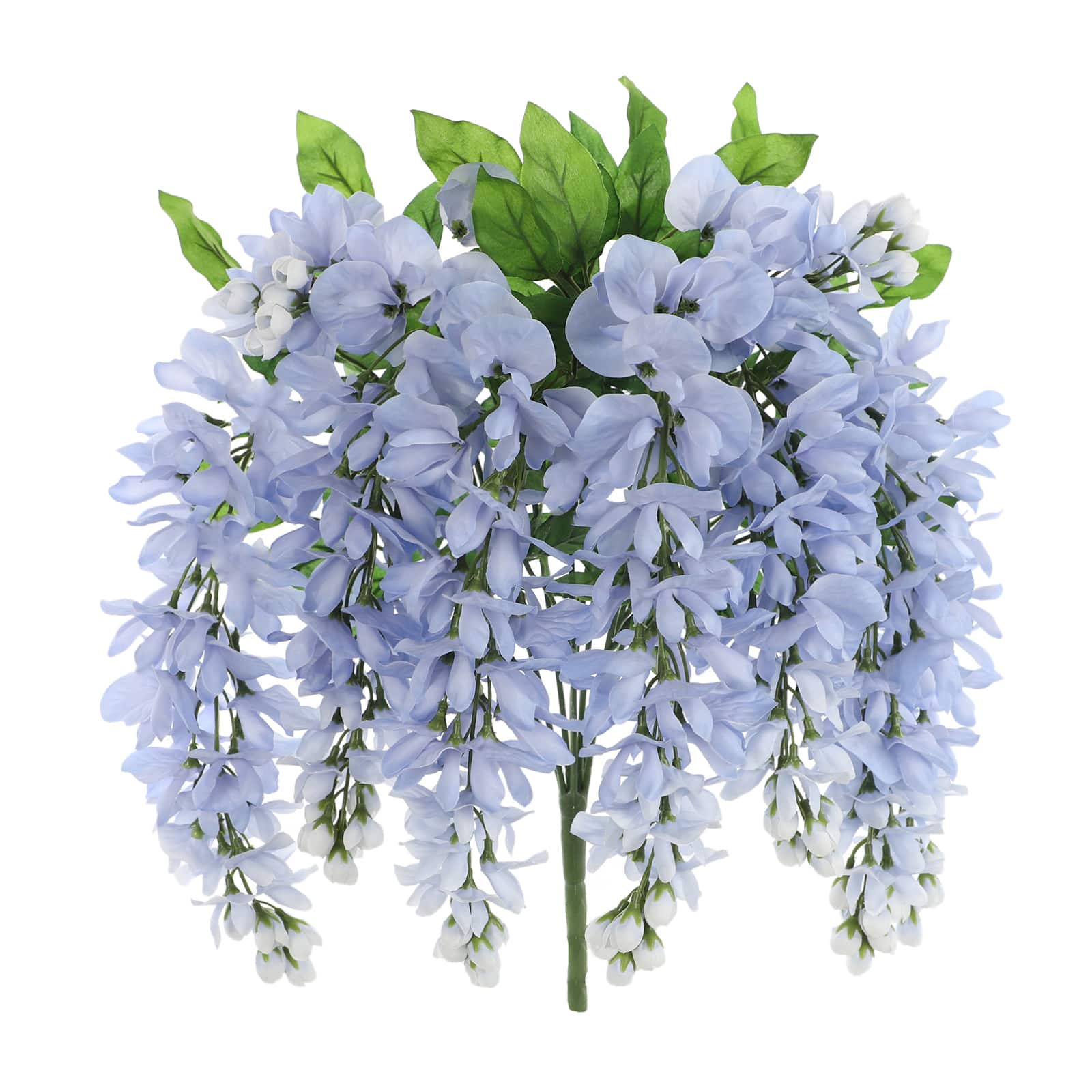 Blue Wisteria Bush by Ashland®