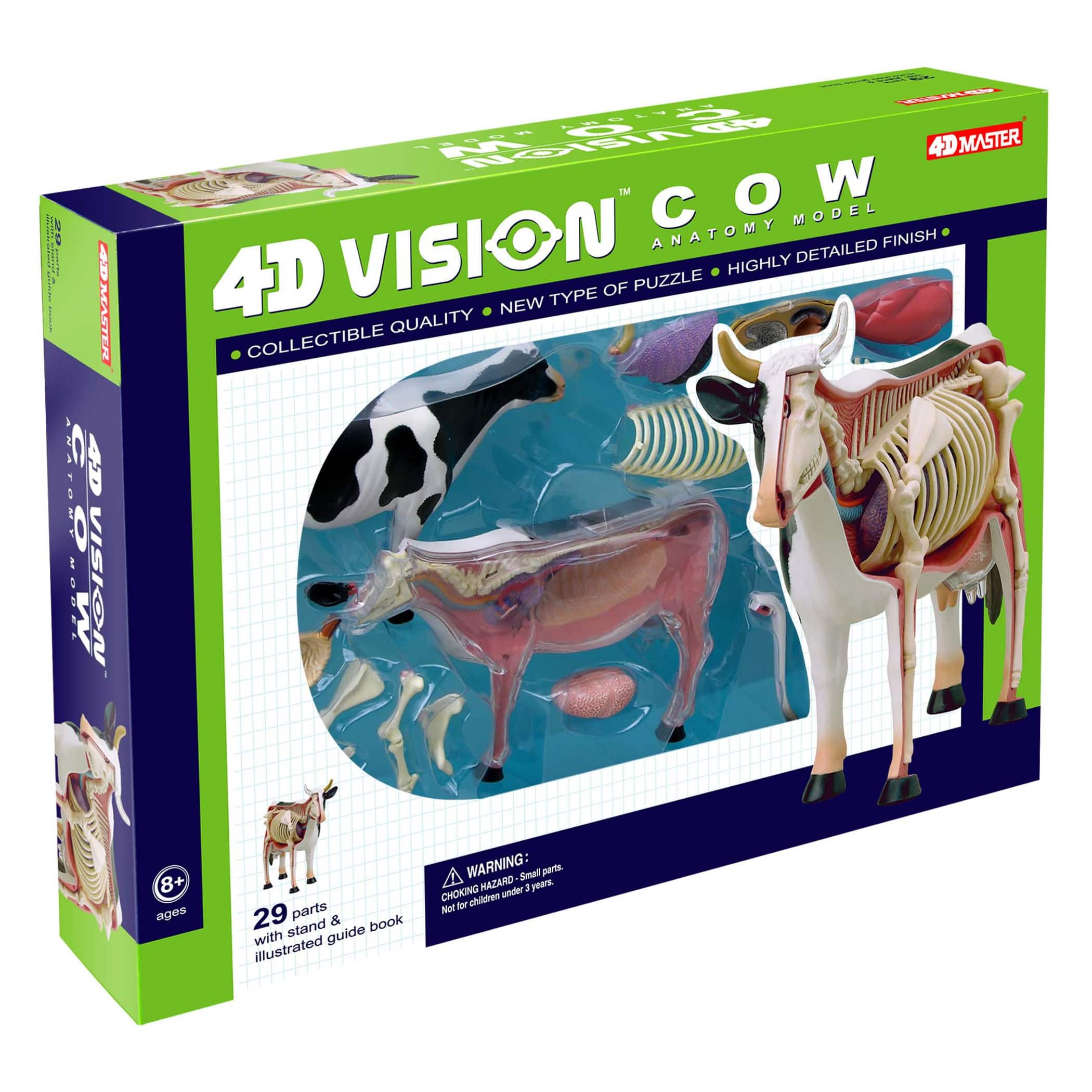 4D Vision&#x2122; Cow Anatomy Model