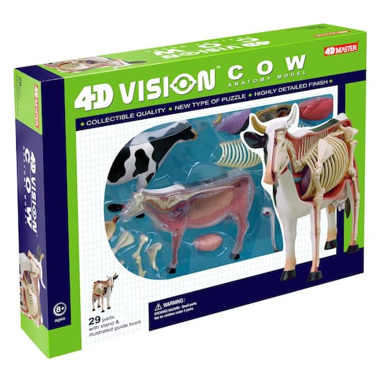 4D Vision™ Cow Anatomy Model | Michaels