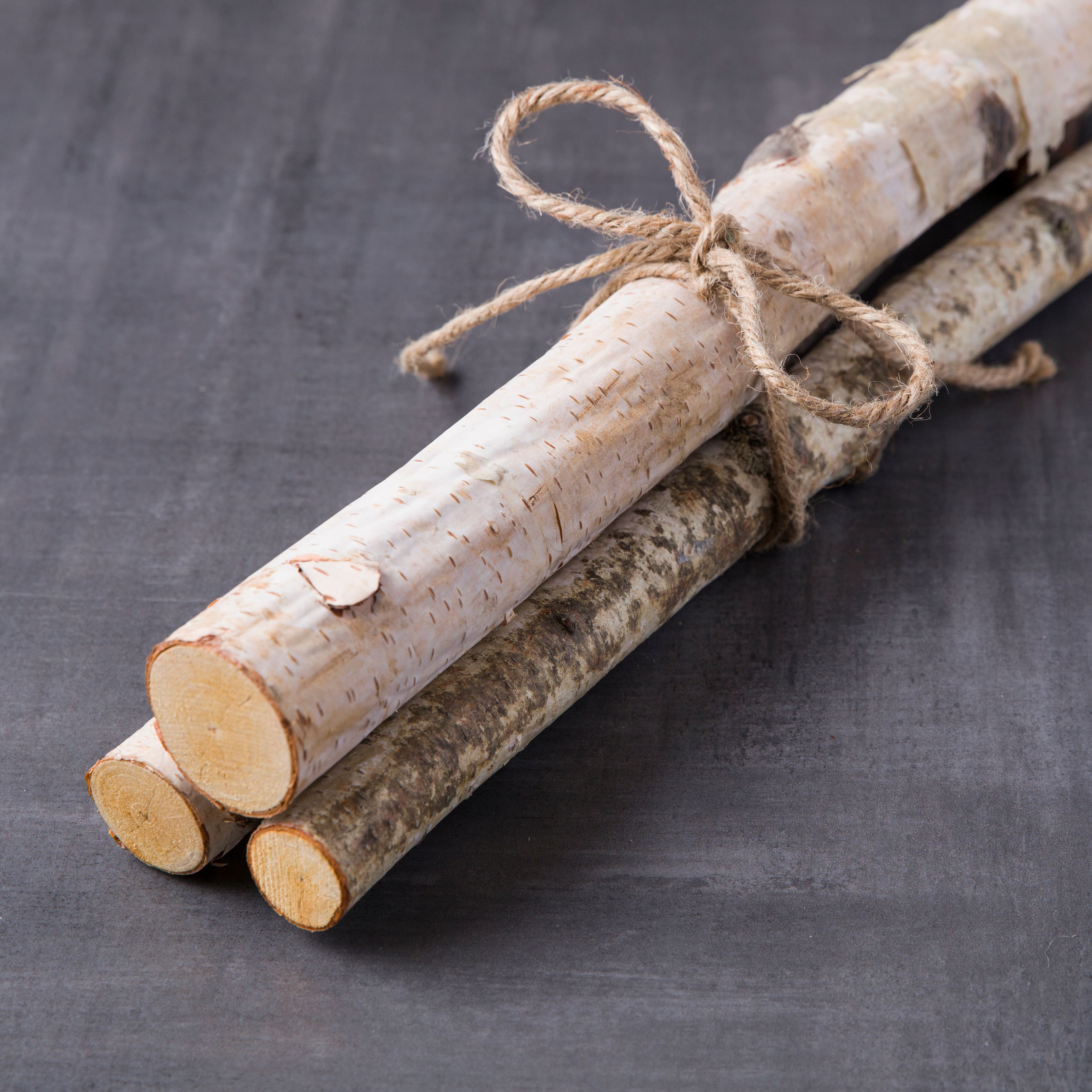 6 Pack: Birch Log Bundle by Ashland&#xAE;