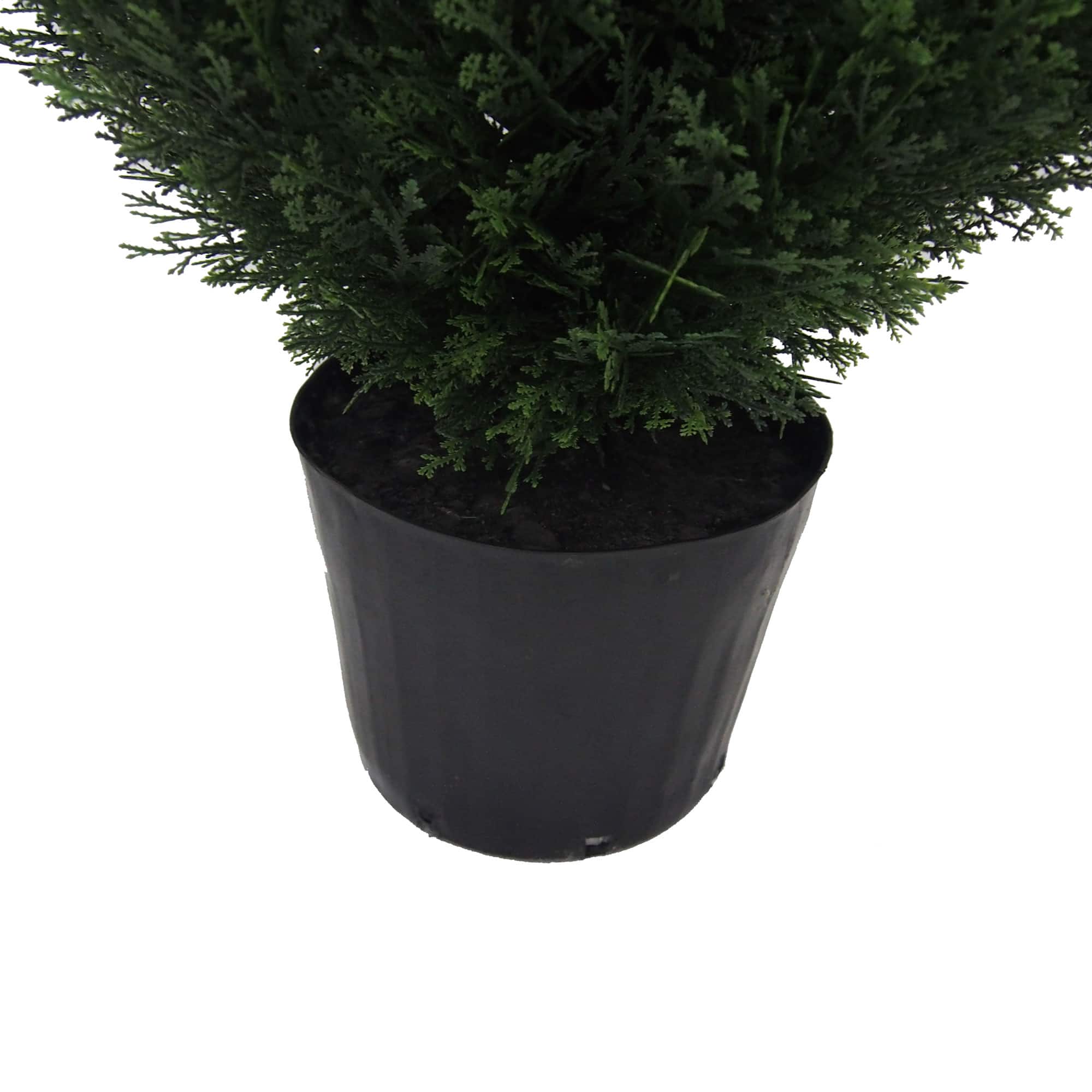 6ft. Potted Cedar Tree