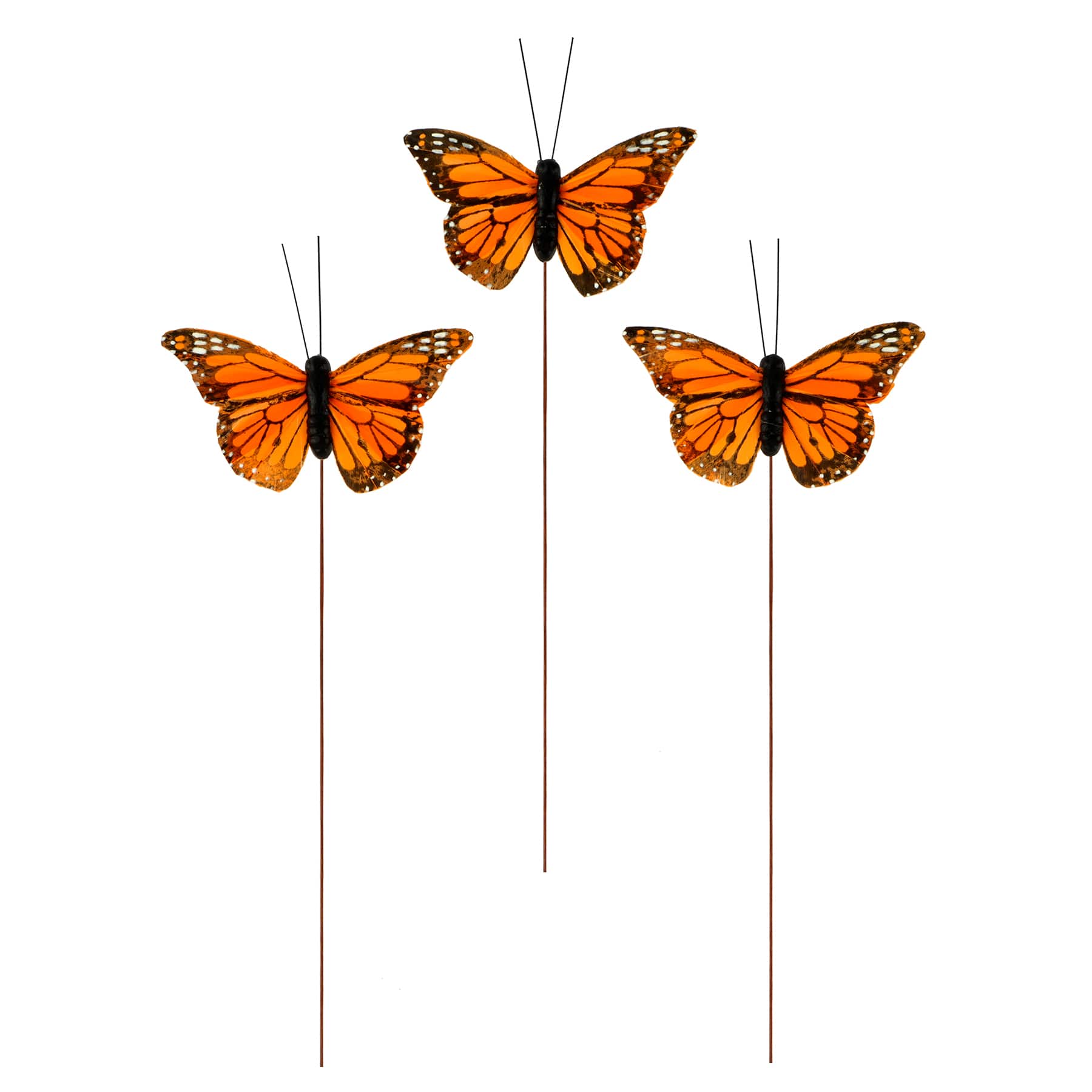 Medium Orange Monarch Butterflies, 3ct. by Ashland®