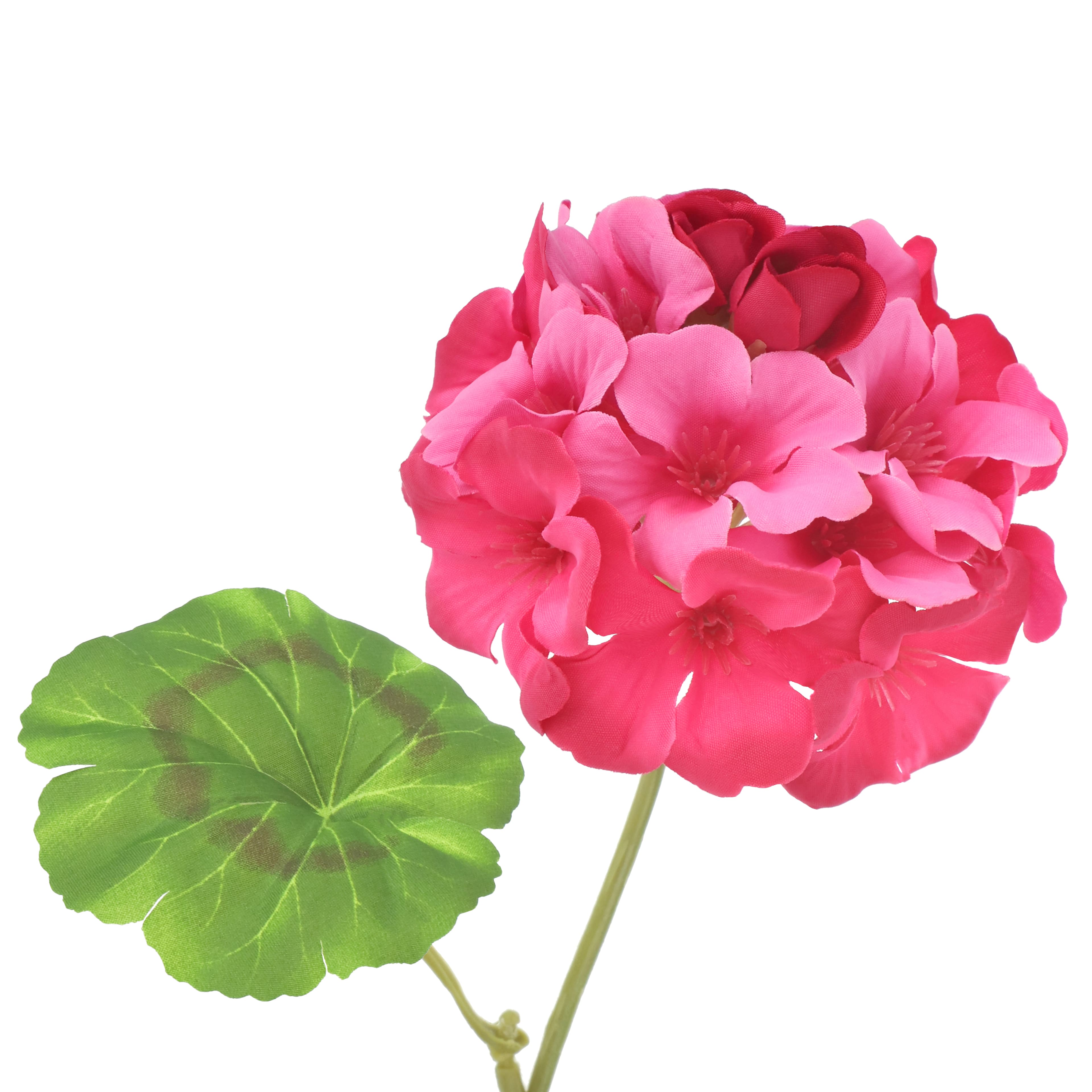 18.5&#x22; Geranium Bush by Ashland&#xAE;