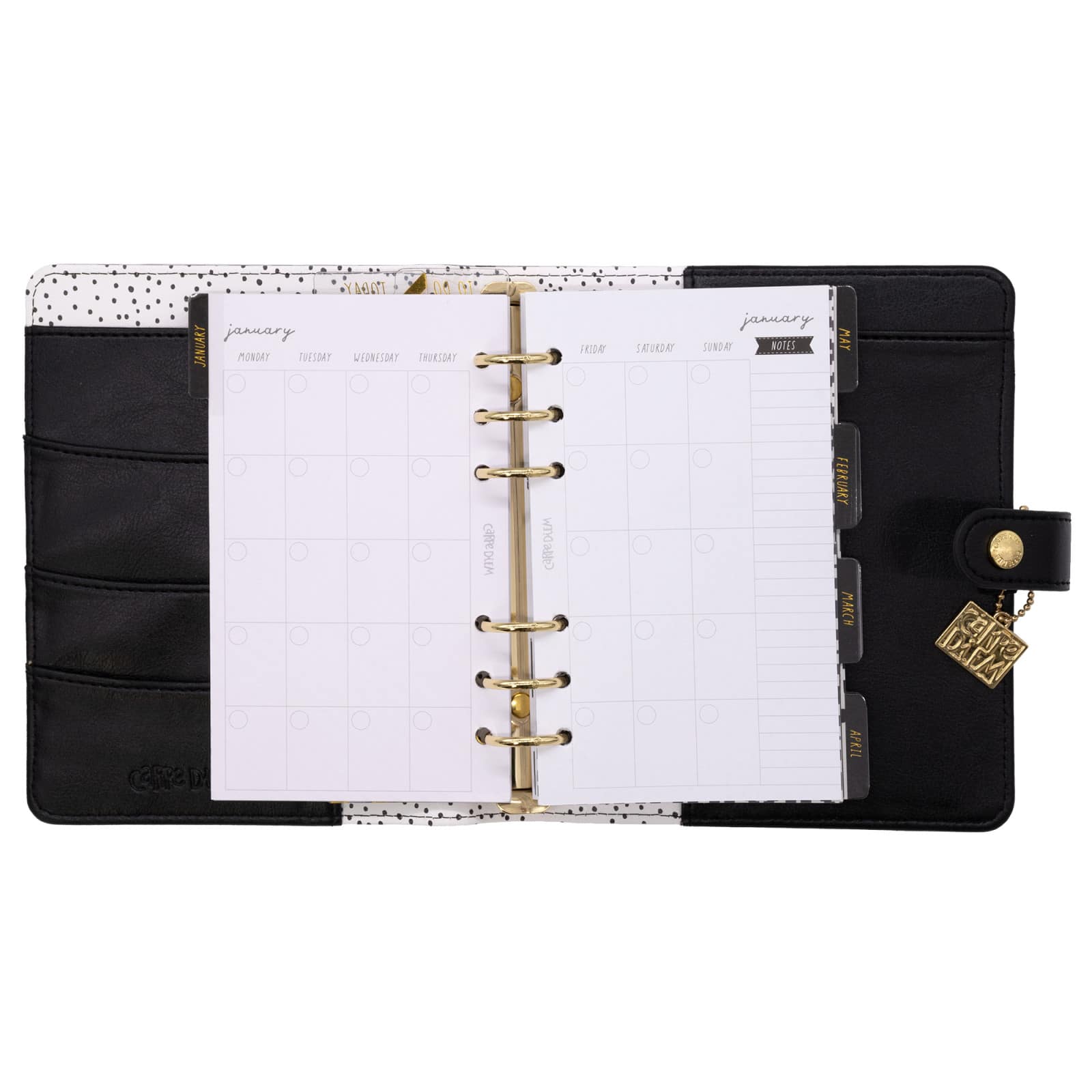 Carpe Diem Buffalo Check Personal Planner