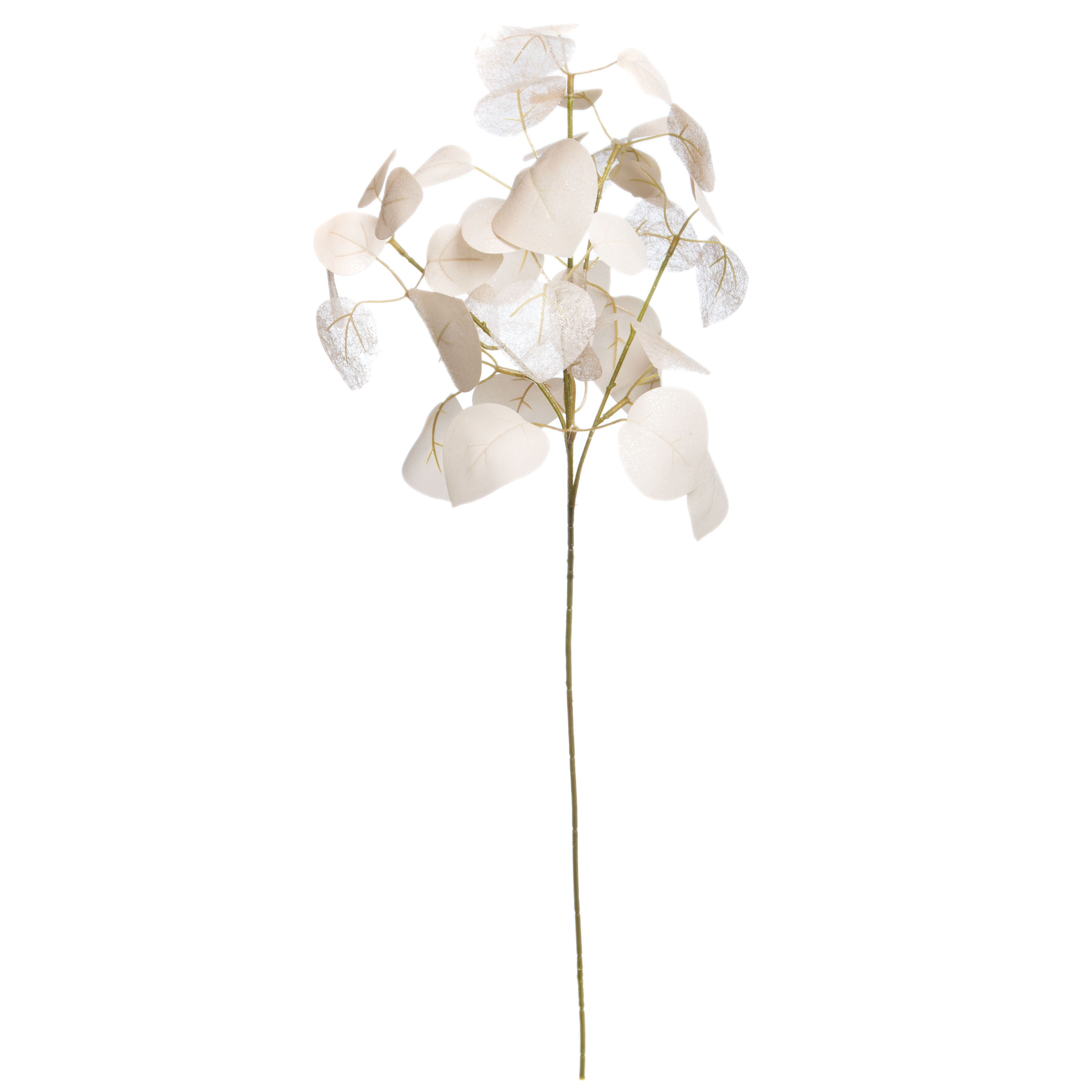 27.5&#x22; Cream Eucalyptus Stem by Ashland&#xAE;