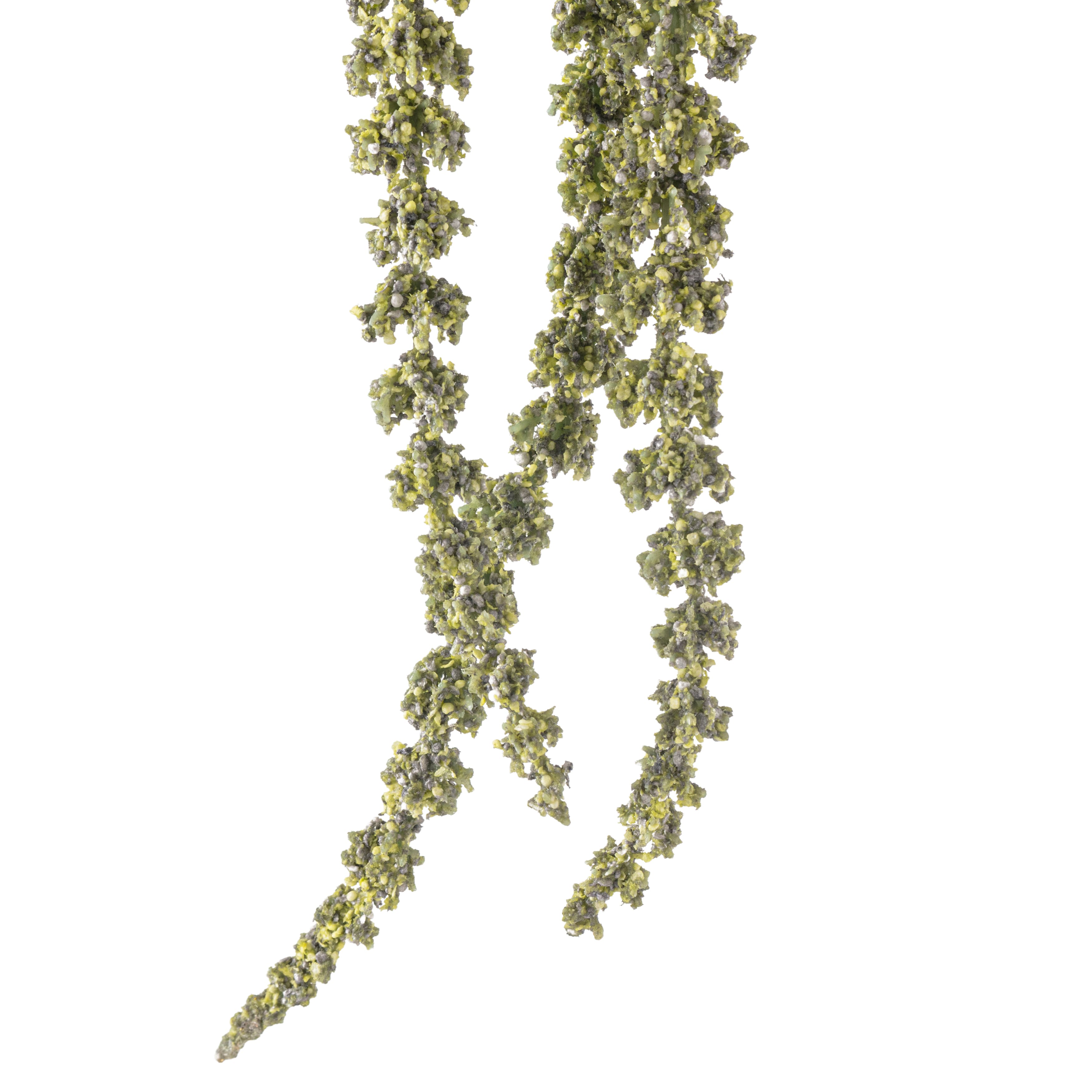 12 Pack: Green Amaranthus Stem by Ashland®