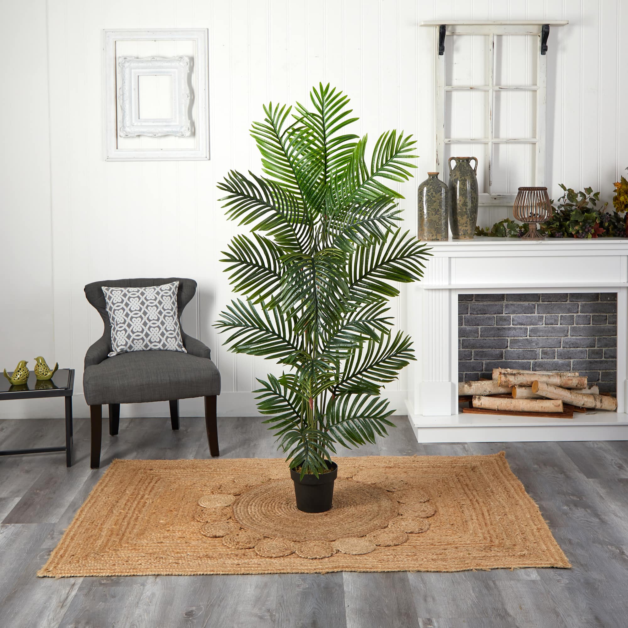 5ft. Potted Paradise Palm Tree