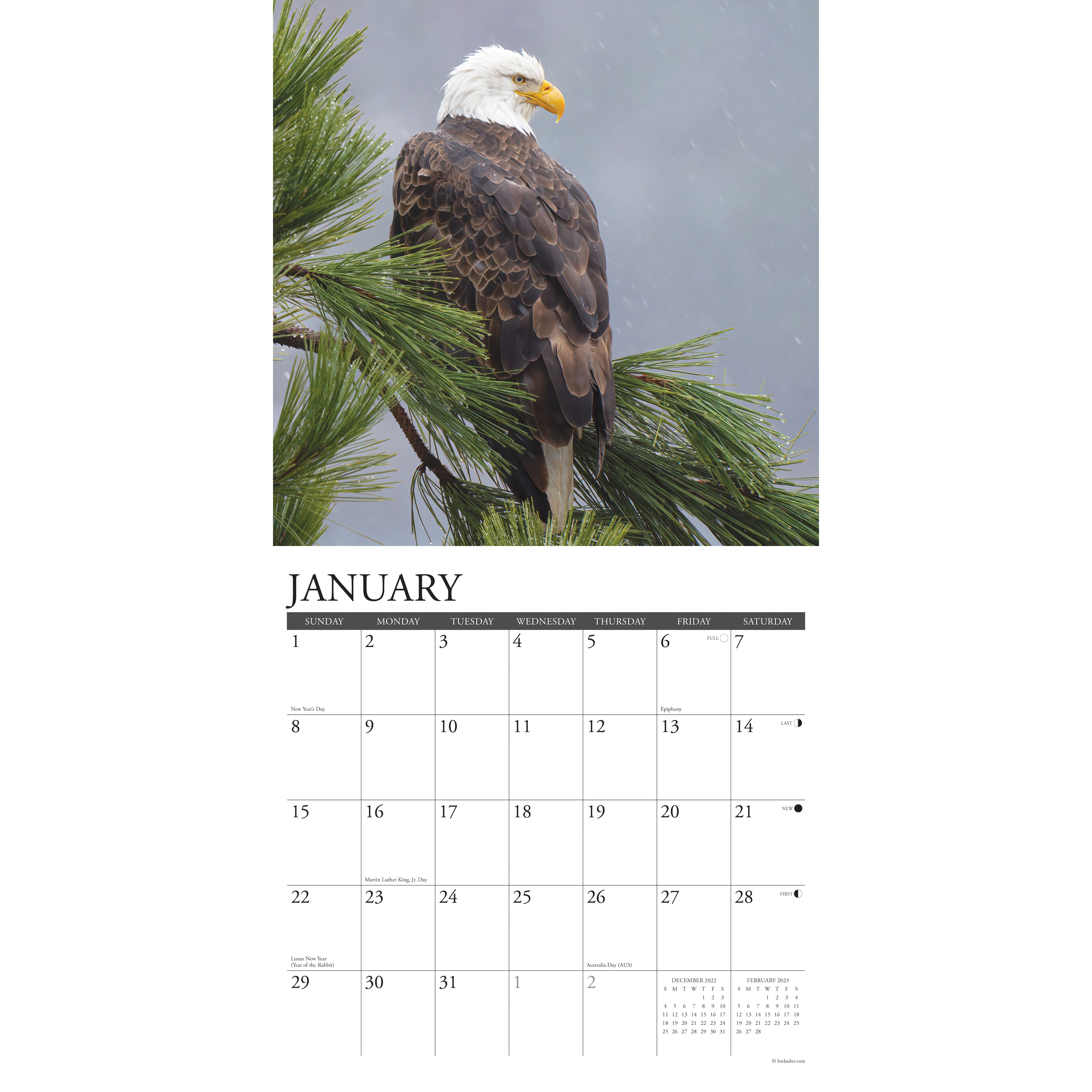 2023 Eagles Wall Calendar Michaels