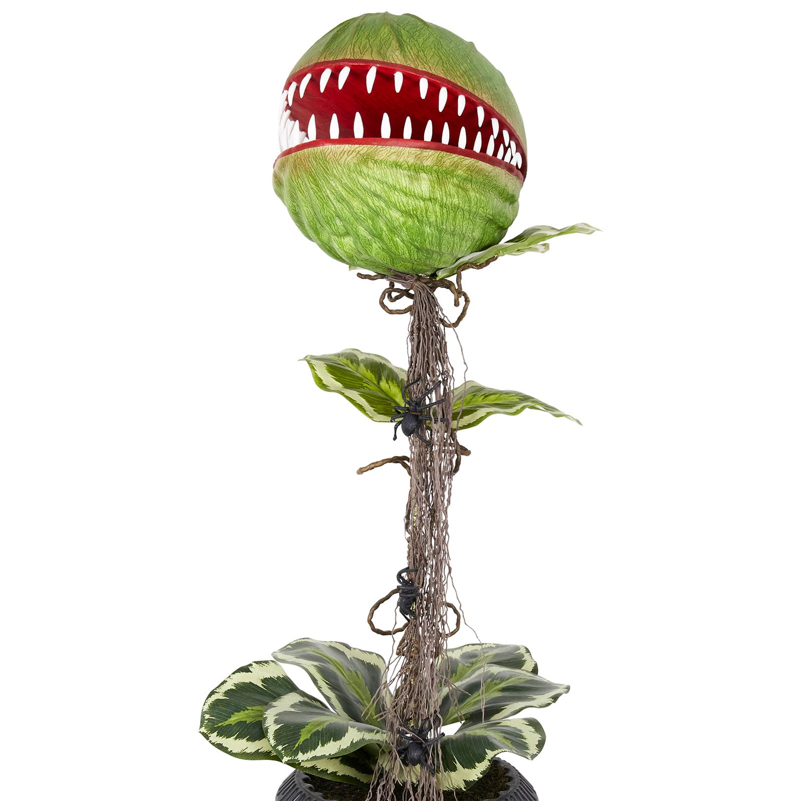 46" Venus Flytrap in Black Urn by Ashland®