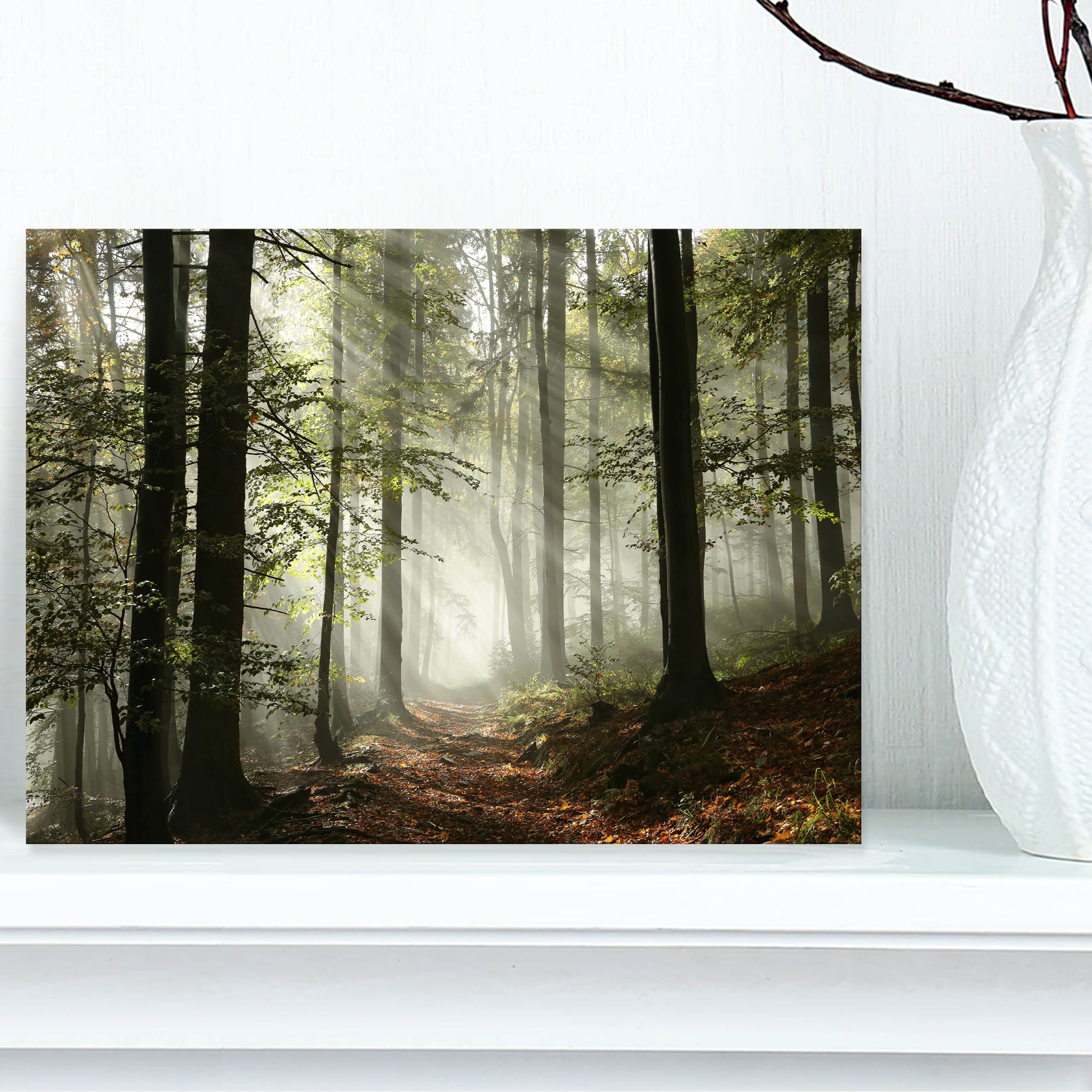 Designart - Light in Dense Fall Forest with Fog - Landscape Art Print Canvas