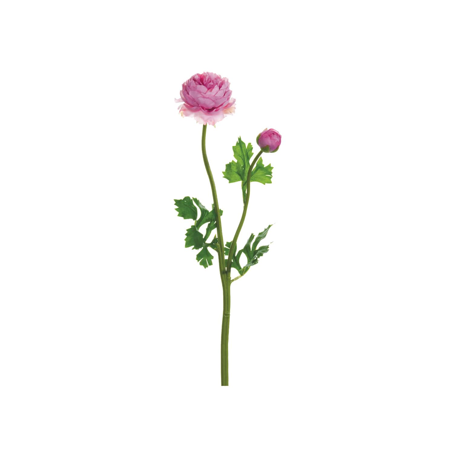  Dark Pink Ranunculus Spray 