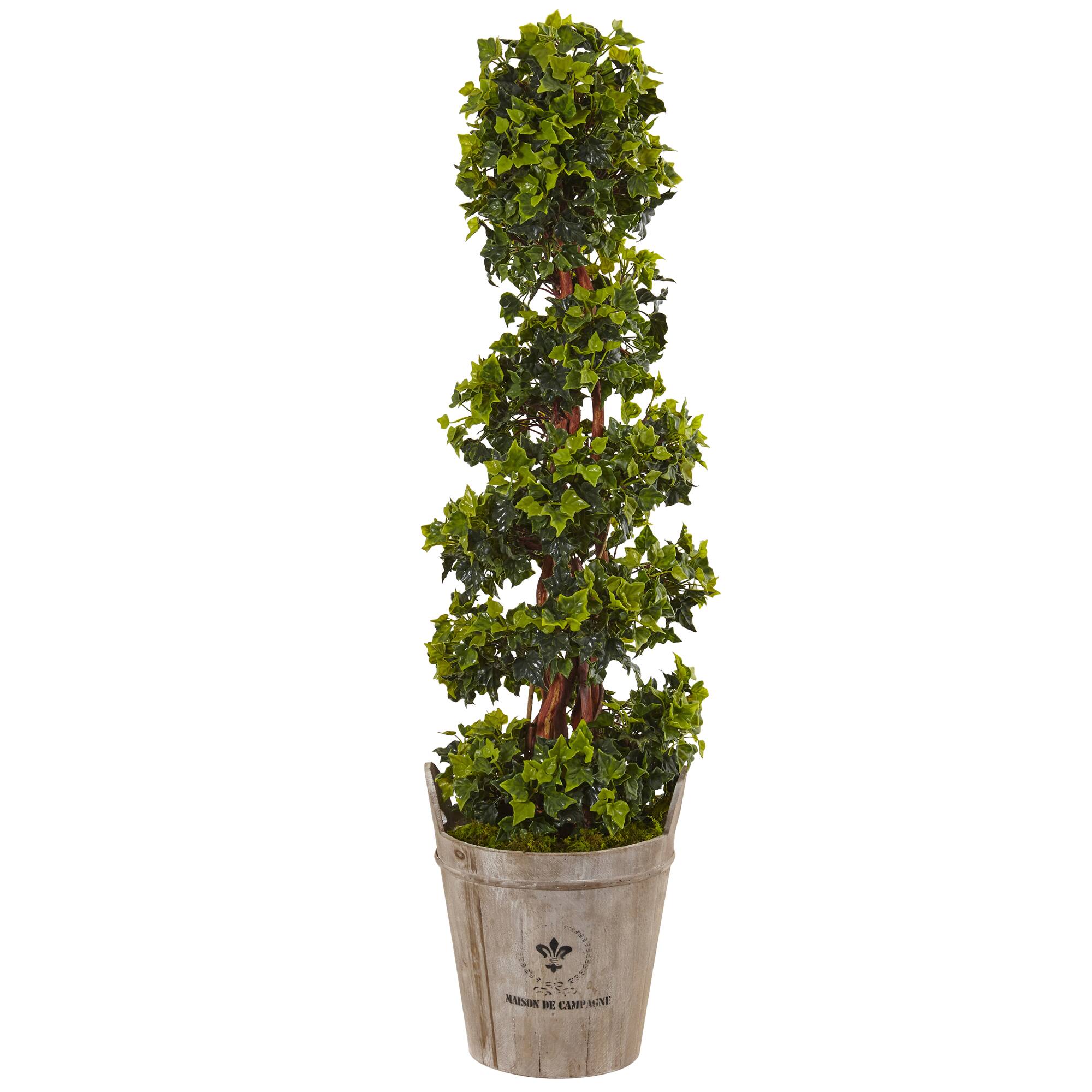 4ft. English Ivy Tree in Farmhouse Planter