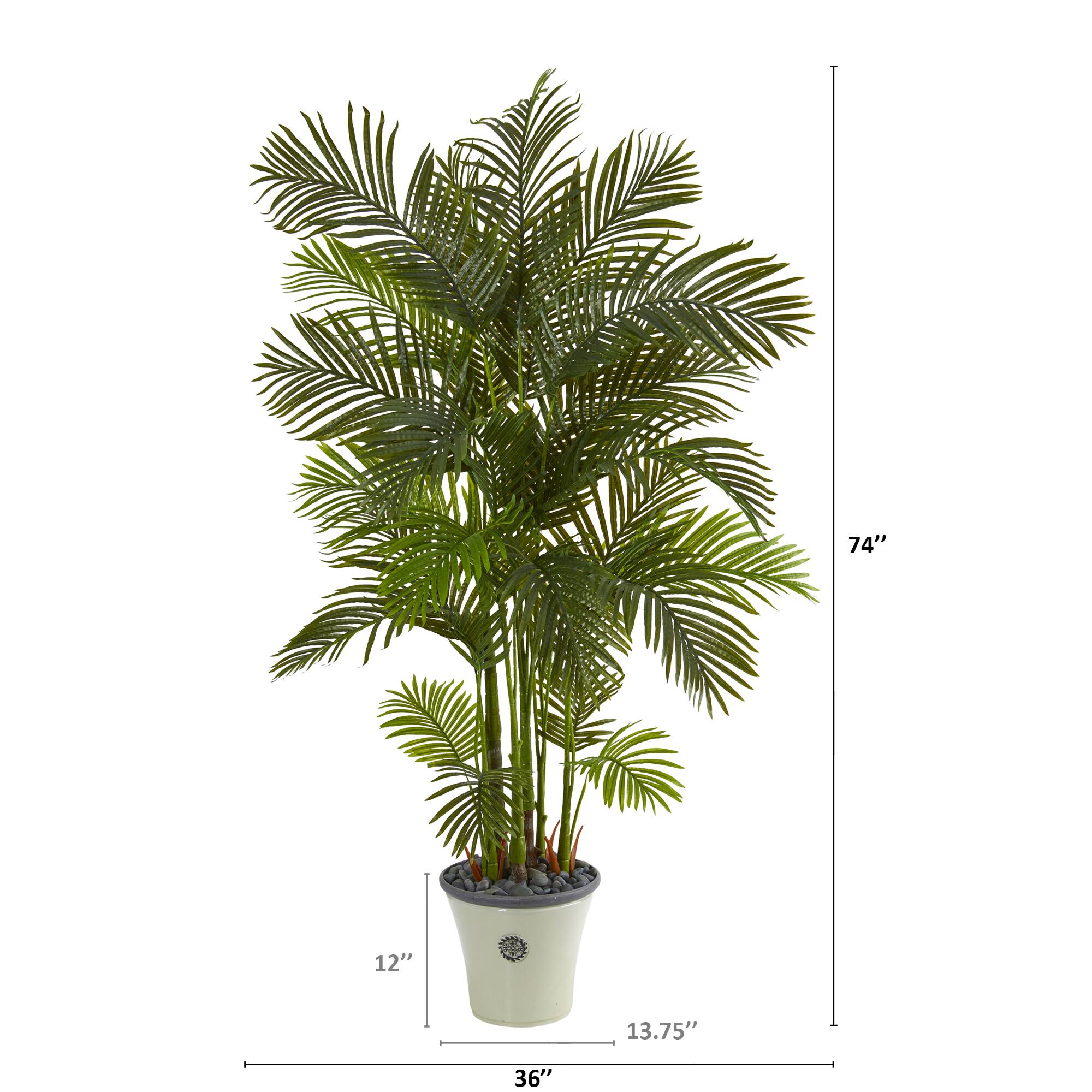 6ft. Areca Palm Tree in White Planter