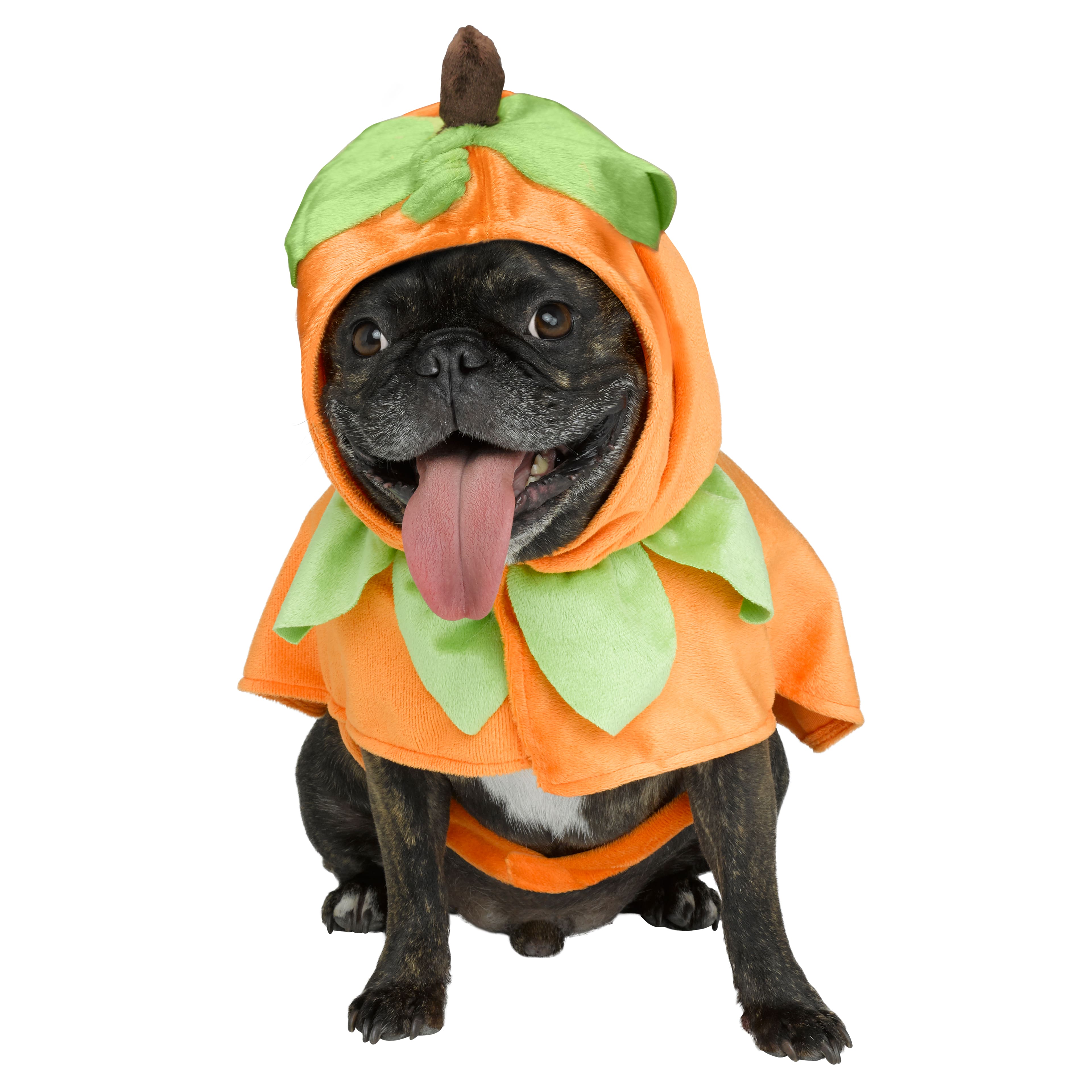 Pumpkin Dog Costume by Ashland&#xAE;