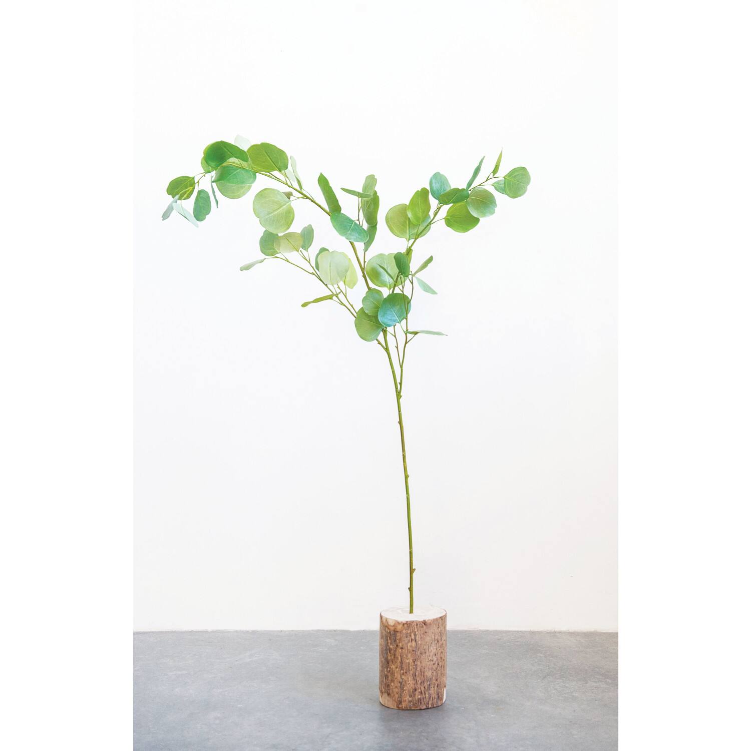 Hello Honey&#xAE; Faux Eucalyptus Branch Set, 12ct.