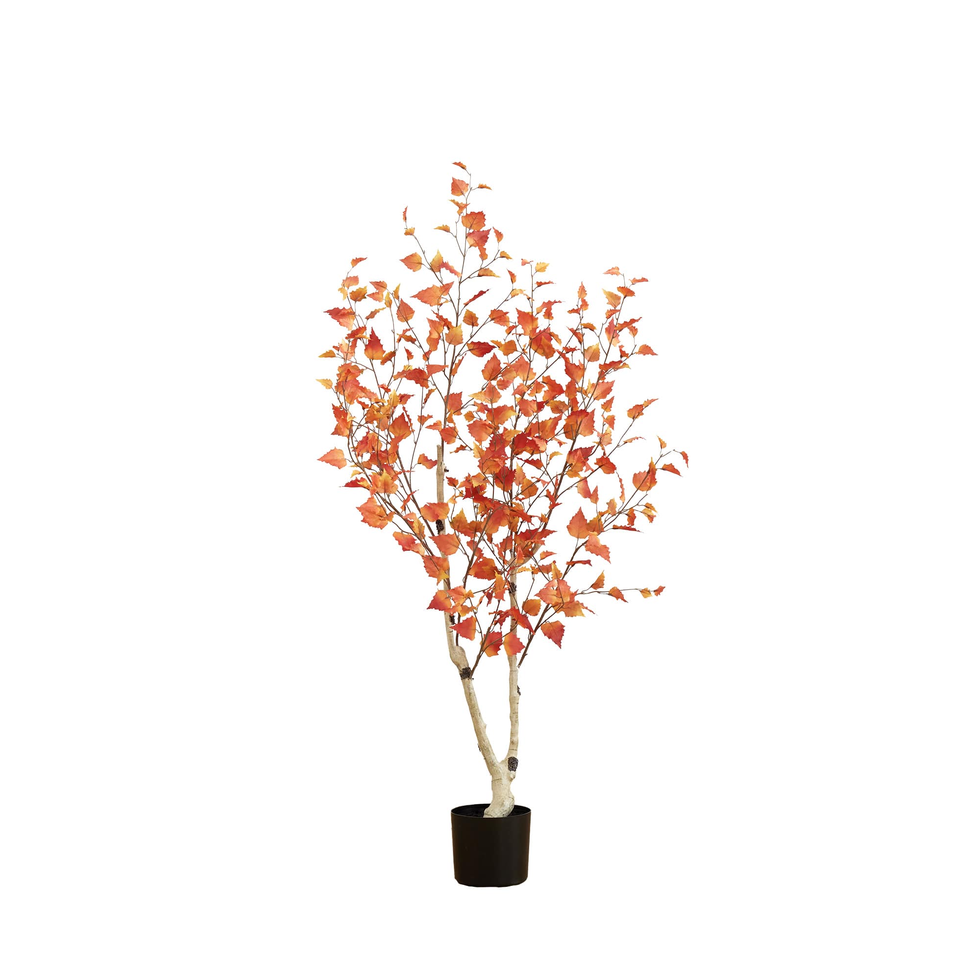 5ft. Autumn Birch Artificial Fall Tree