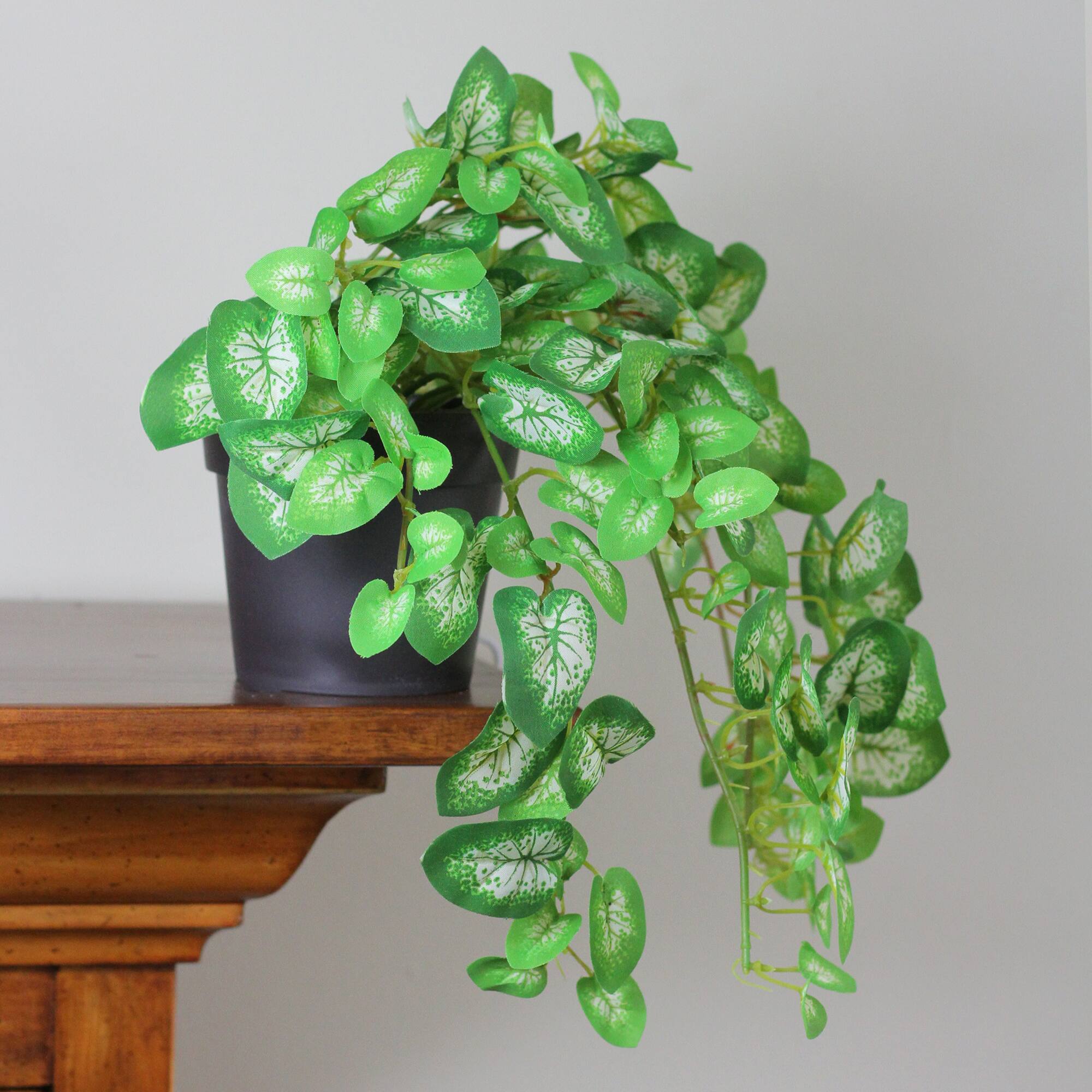 8" Decorative Kelly Green Spring Plant in Pot