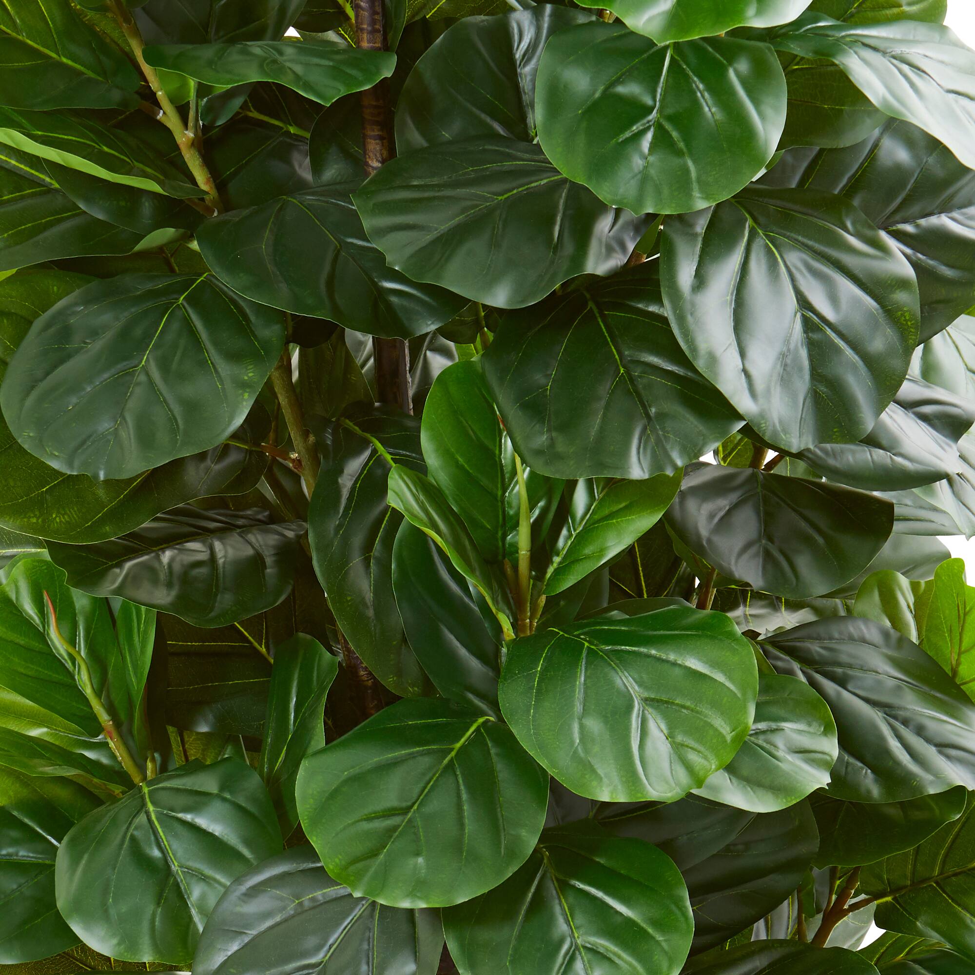 6ft. Potted Green Fiddle Leaf Fig Artificial Tree Michaels