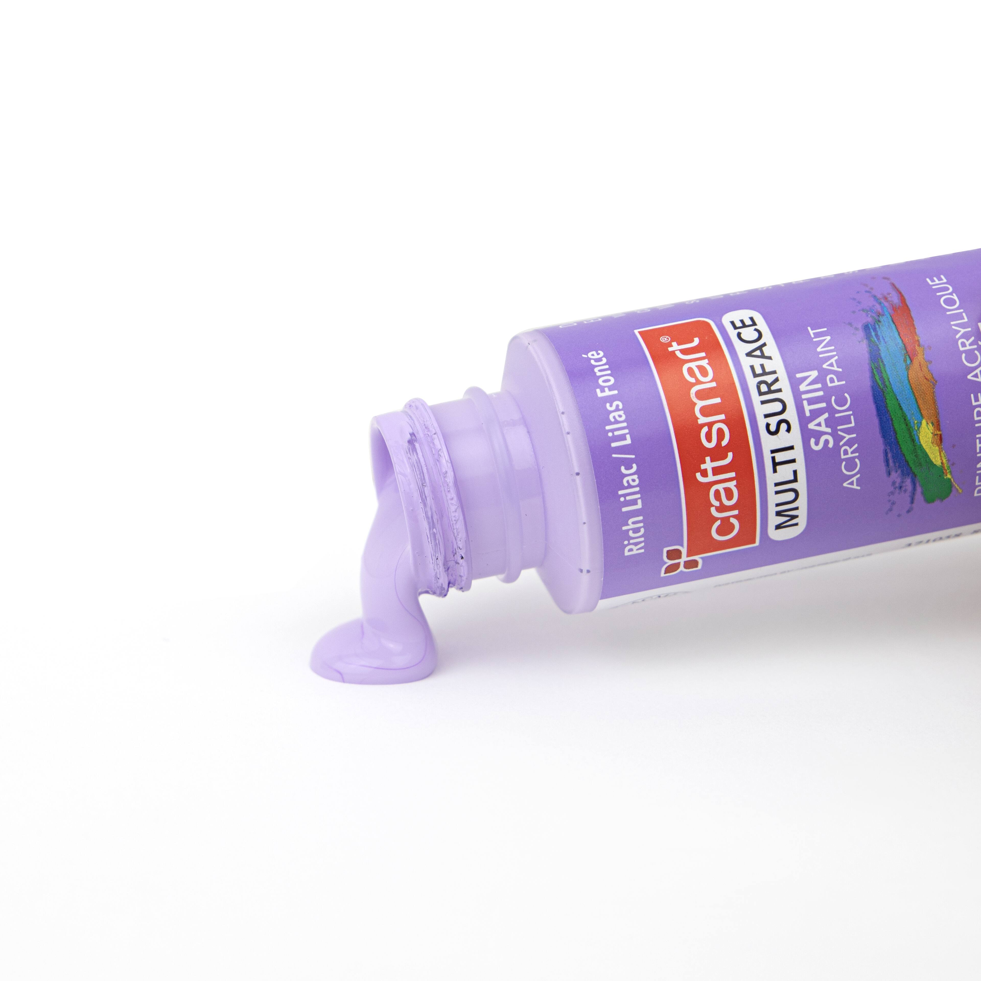 12 Pack: Multi-Surface Premium Satin Acrylic Paint by Craft Smart®