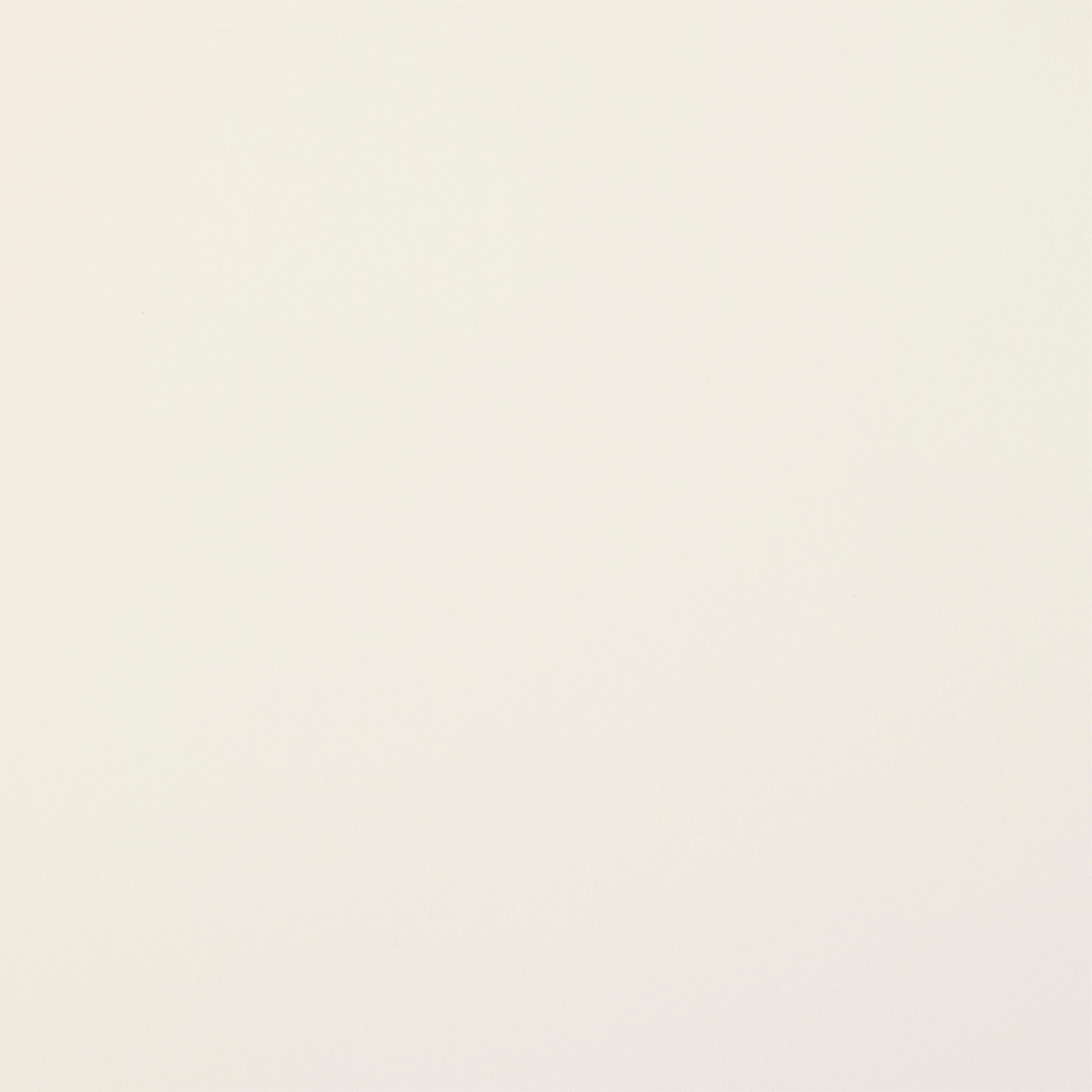 24" x 12" 65lb. Cardstock Paper by Recollections™, 30 Sheets