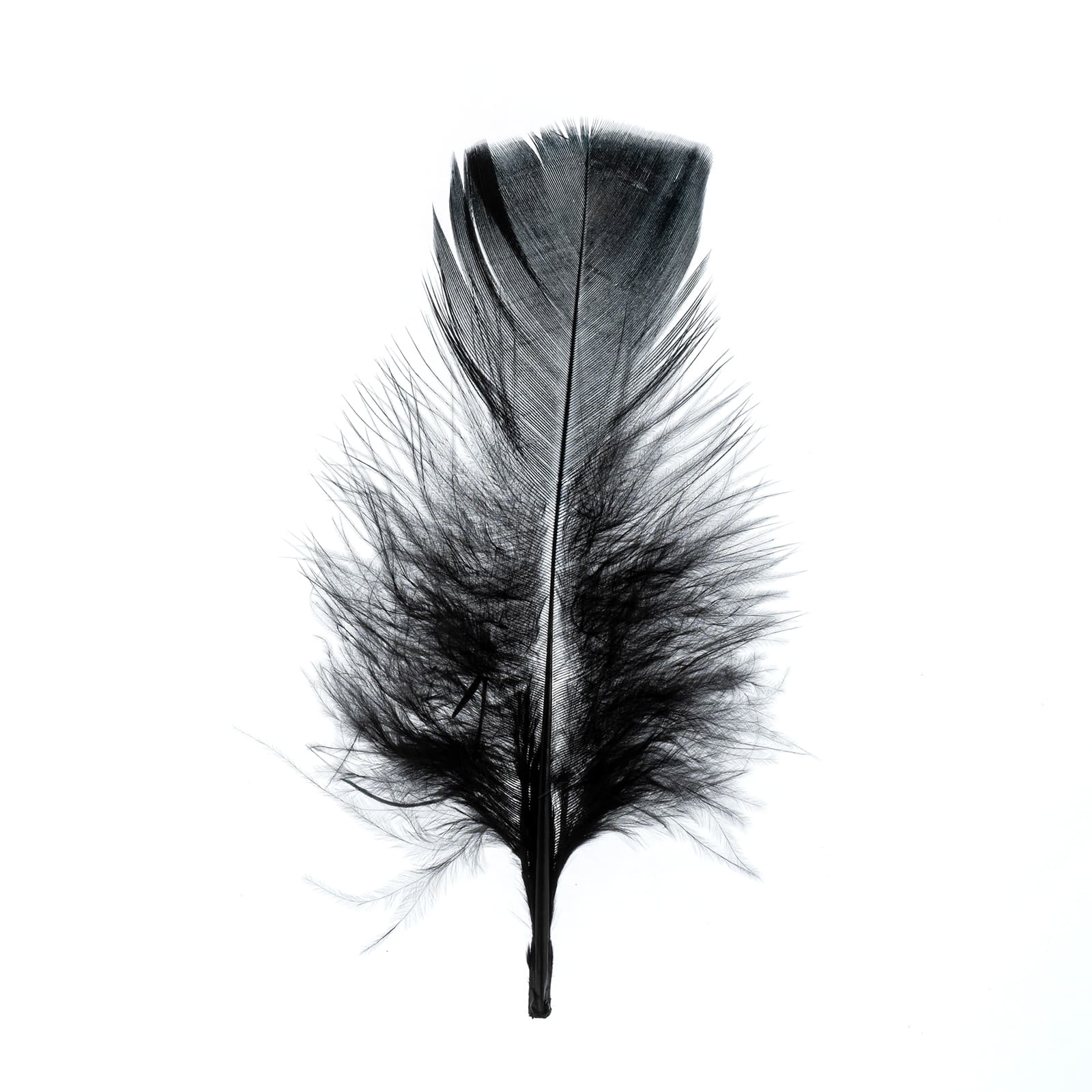 John Bead 4&#x22;-6&#x22; Marabou Feathers