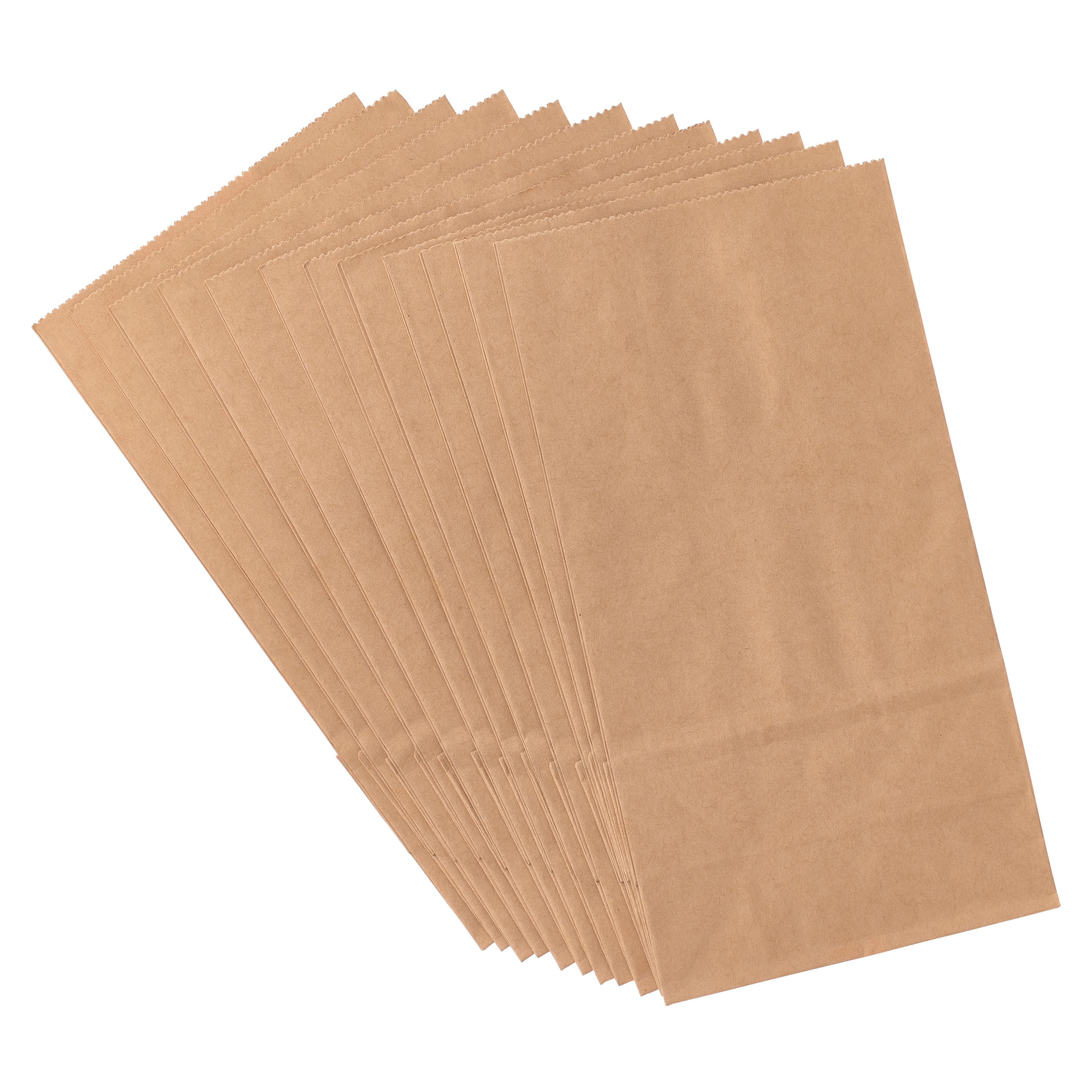 Large Paper Treat Bags by Celebrate It™