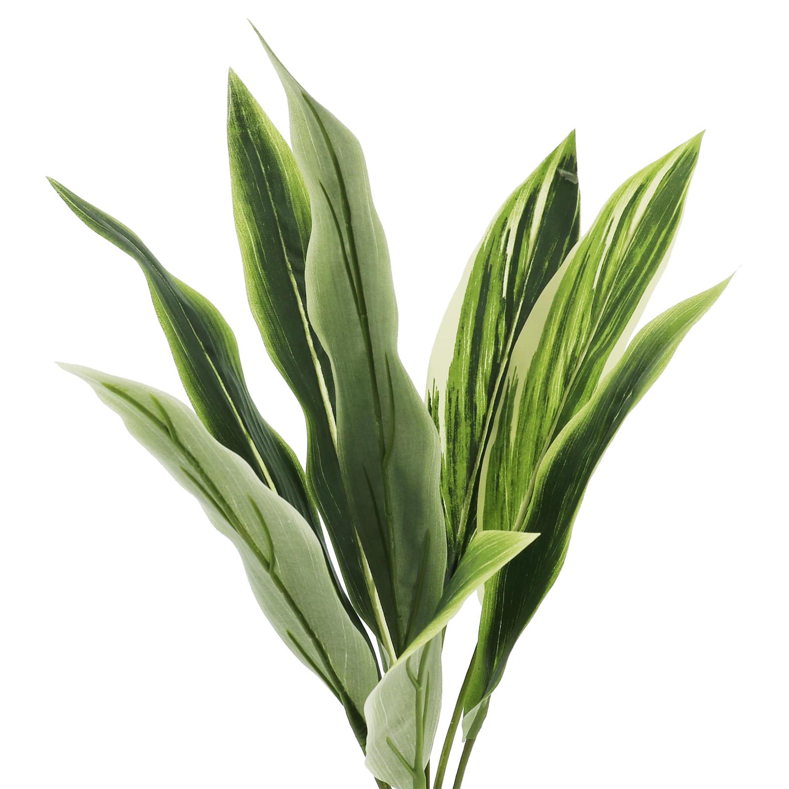 20&#x22; Green &#x26; White Dracaena Bush by Ashland&#xAE;